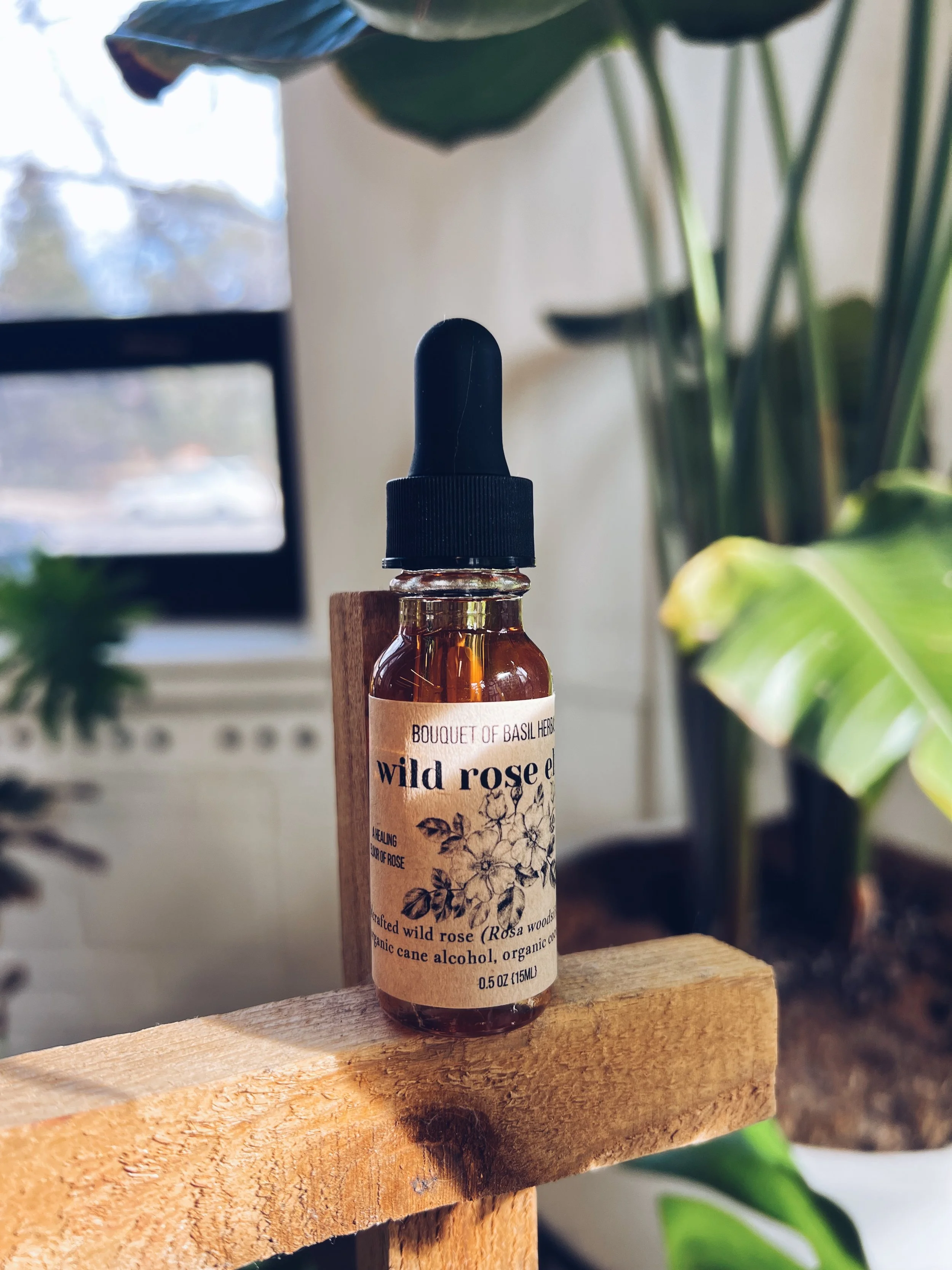 wild rose elixir ~ rose medicine