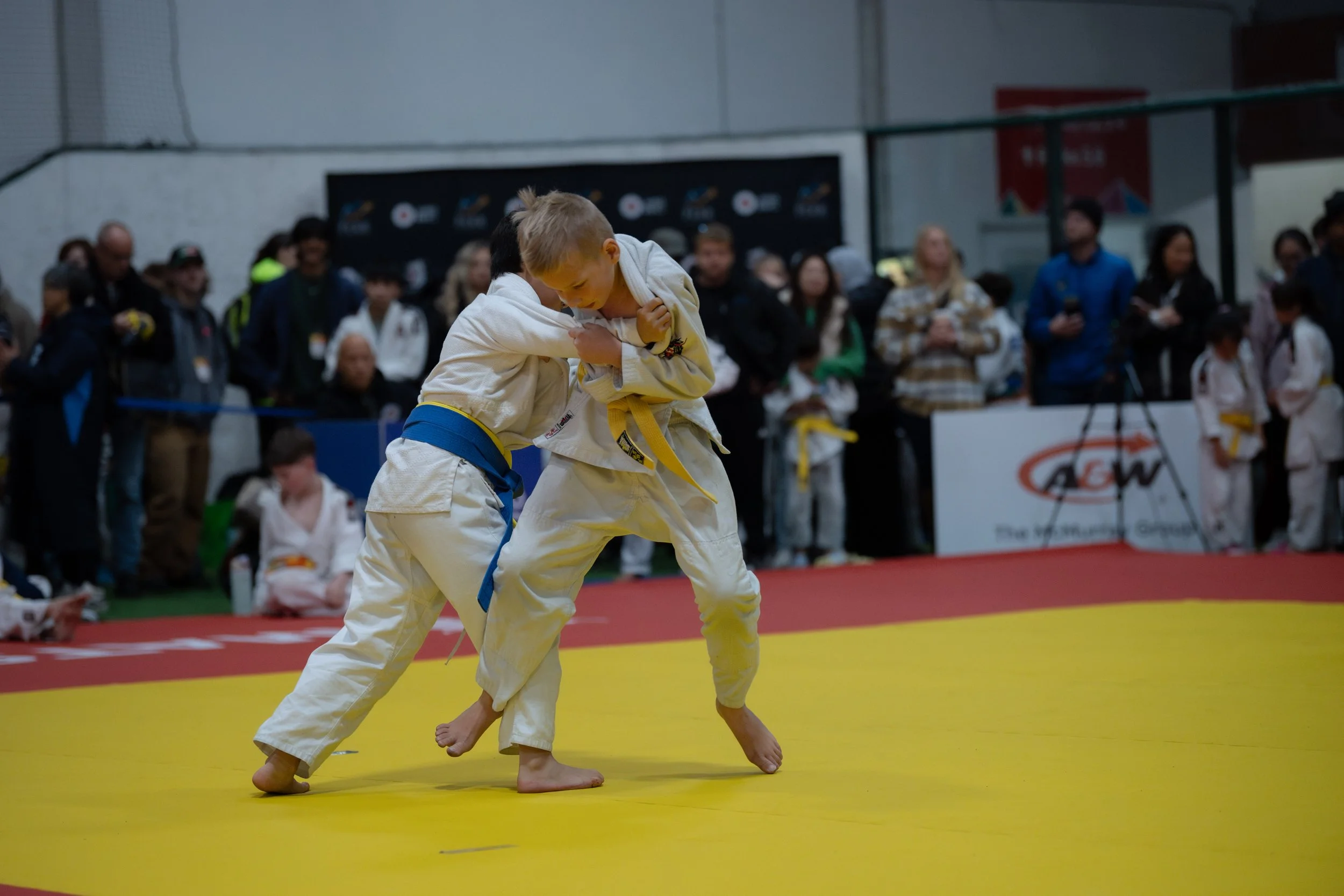 Z63_4390-Enhanced-NR.jpg