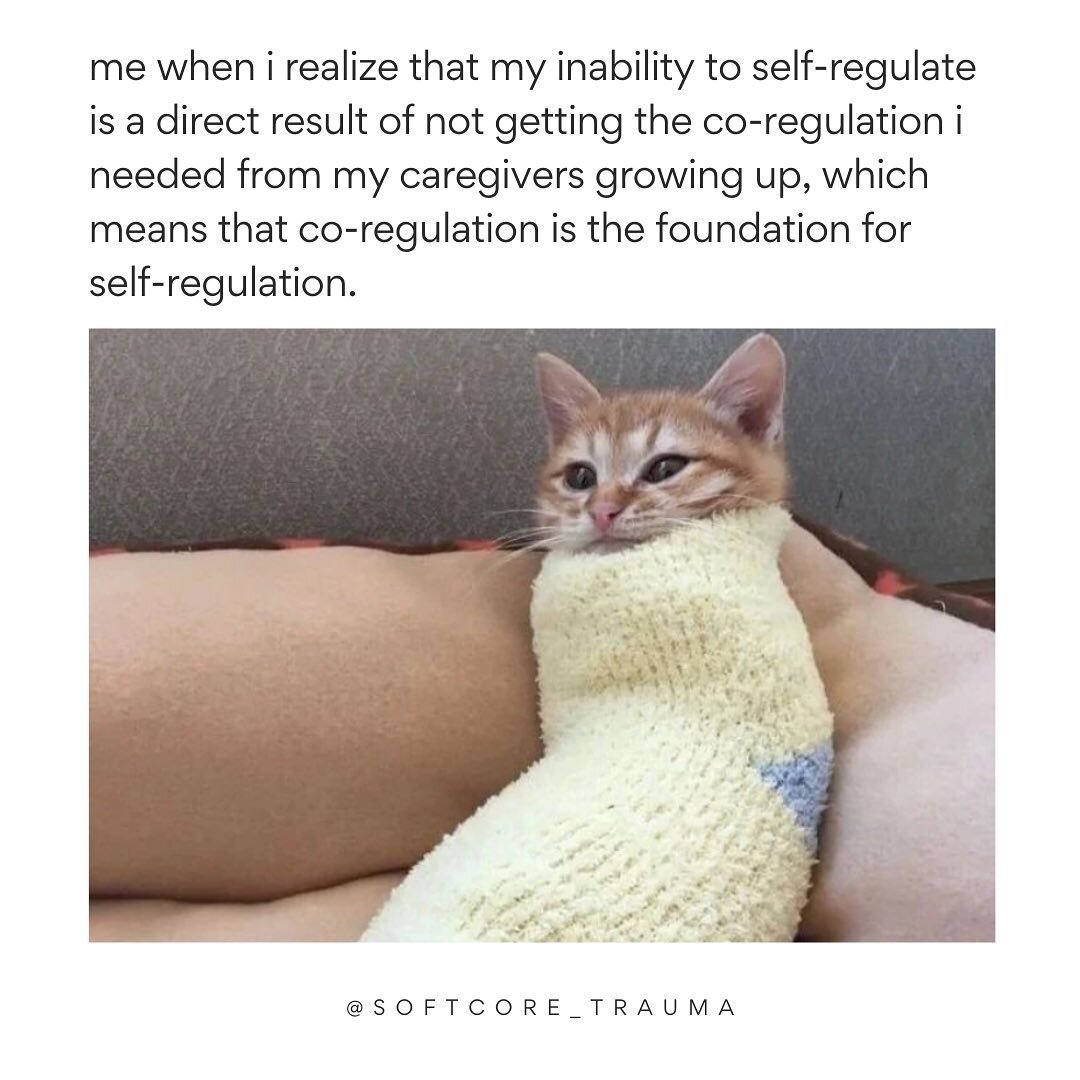 Some lessons about co-regulation from yesterday&rsquo;s Intimacy for Trauma BBs peer support group. There&rsquo;s a lot of talk about the importance of regulation, which is just a fancy therapy word for moving out of nervous system activation (fight,