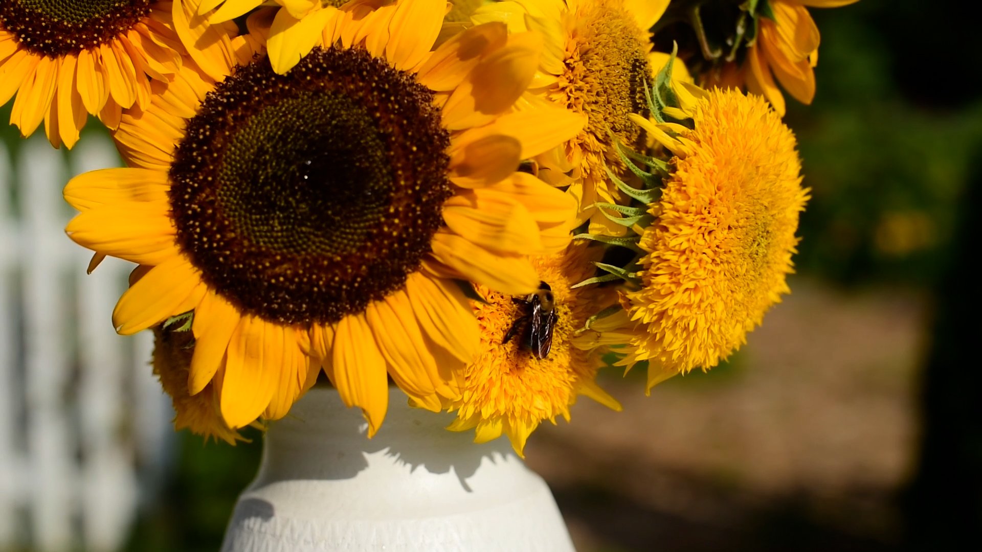 Sunflowers in Vase With Bee On them.jpg