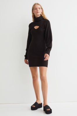 DRESS AND TURTLENECK TOP