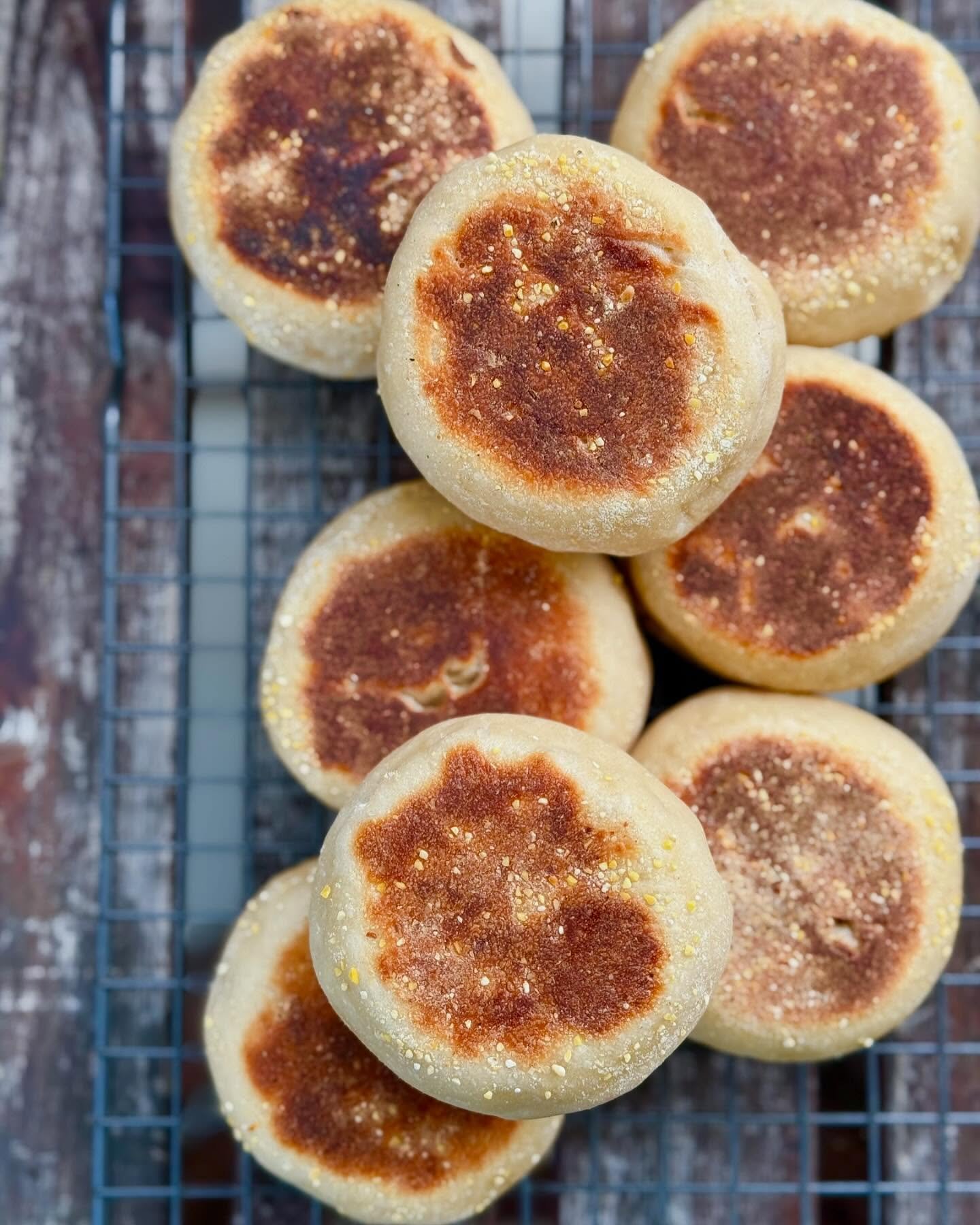 Our Sourdough English muffins are one of our specialities 💕 Slow fermented, extra sour, and lots of nooks and crannies 😸 #theyinydeli #sourdough #sandiegoorganic #organiccatering