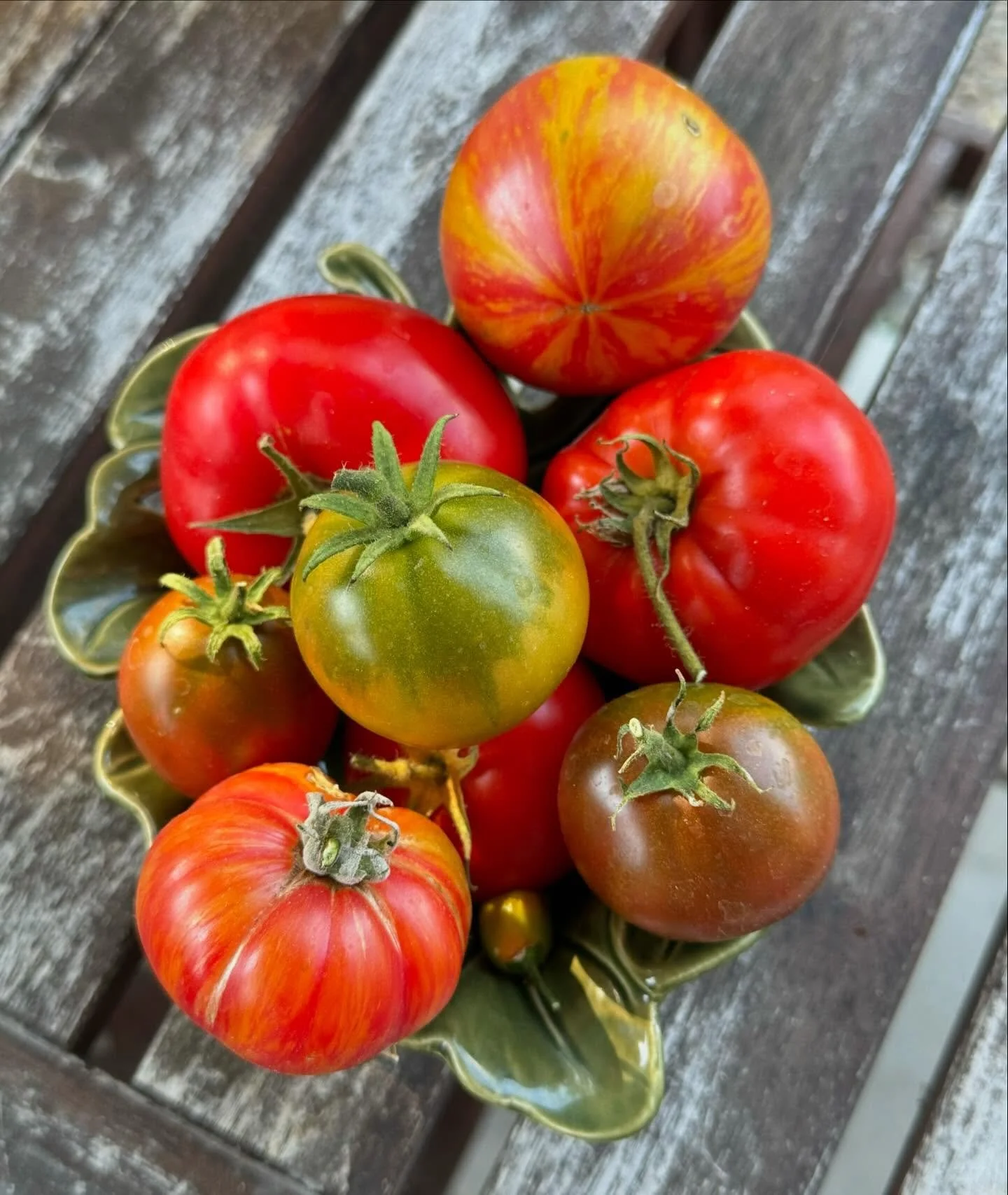 🍅🌱🌞 Tomato season is coming to an end over here, but we canned and froze tons of our homegrown organic tomatoes for our pomodoro sauce 🥫🍝🍕 One of our classic recipes that we simmer our meatballs in, spread on our pizzas, and pour all over fresh
