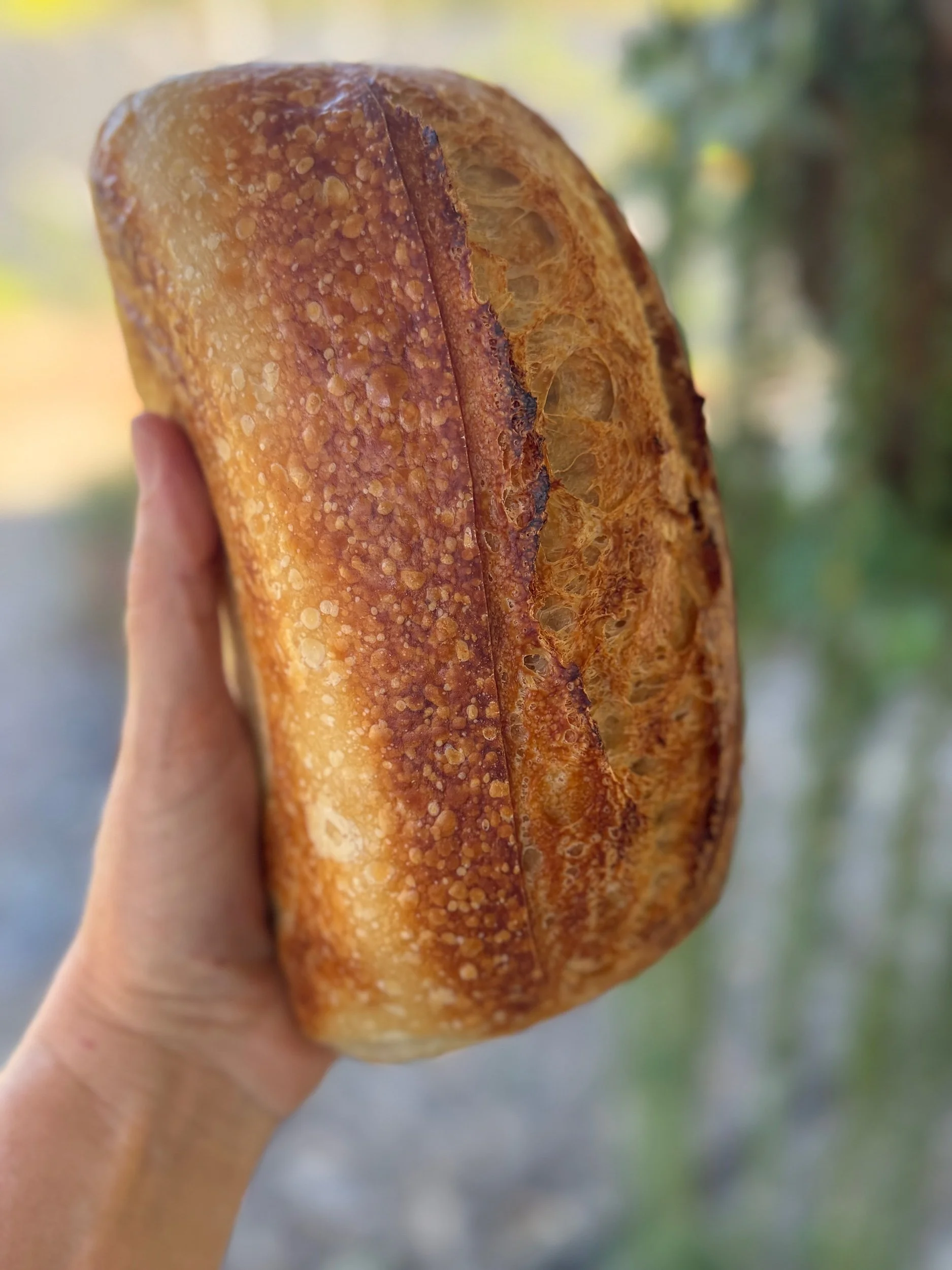 PRE-ORDER SOURDOUGH
