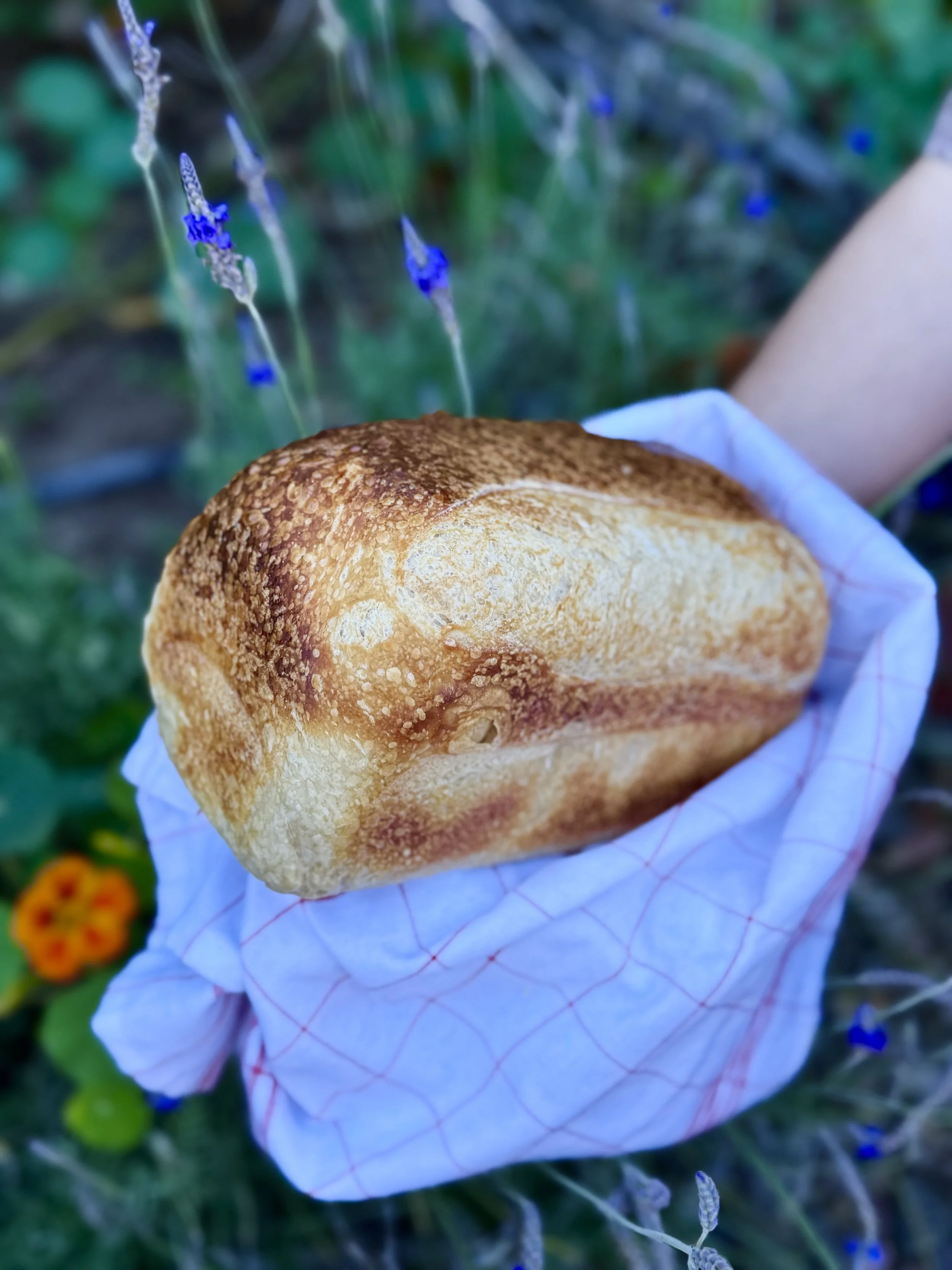 PRE-ORDER SOURDOUGH LOAF