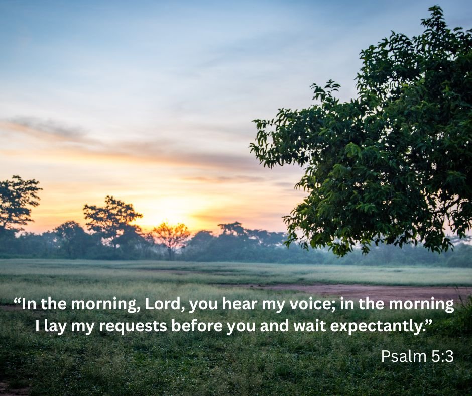 &quot;In the morning, Lord, you hear 
my voice; in the morning I lay my requests 
before you  and wait expectantly.&quot;
Psalm 5:3

 #bibleverse #scriptures #bible #scripturesunday