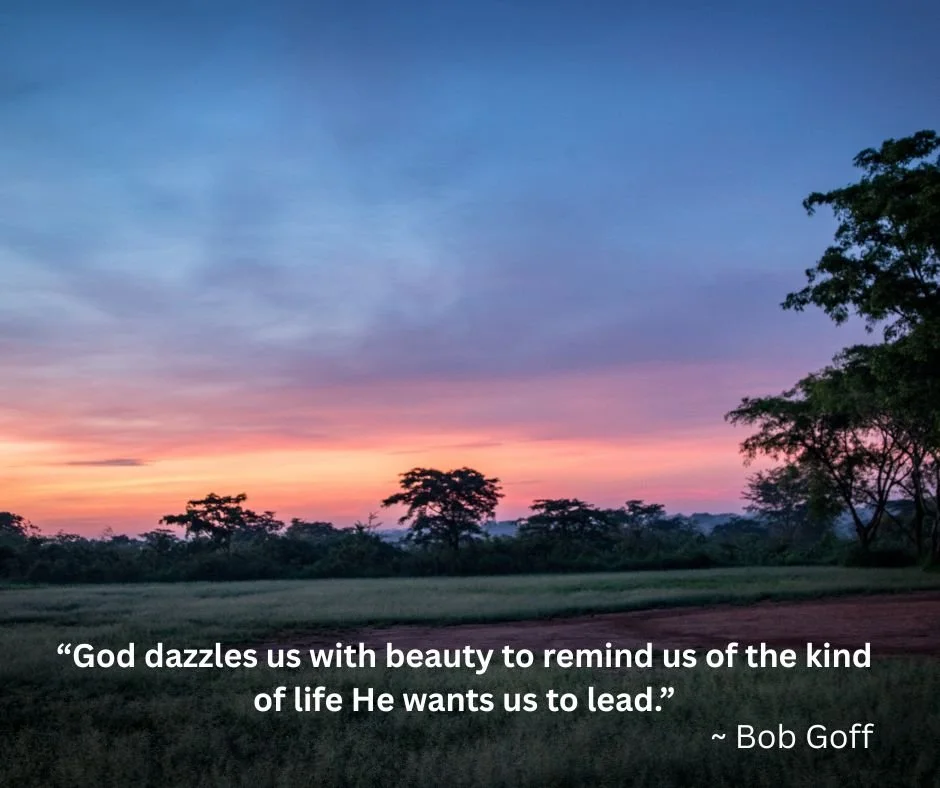 &quot;God dazzles us with beauty to 
remind us of the kind of life He wants us to 
lead.&quot;
~ Bob Goff