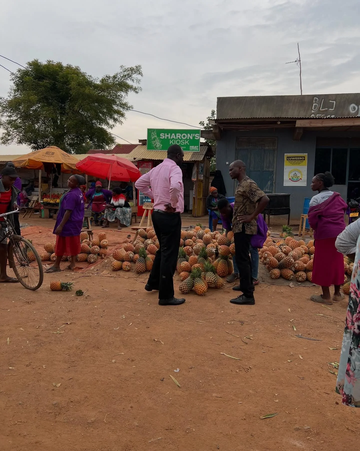 Stopped to buy pineapples for the kids at Bweyale Village as we drove from Entebbe today. Got a few passion fruits, too 😋