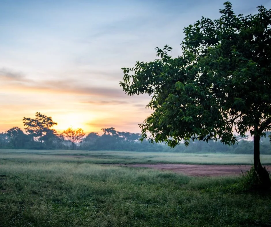 We start our days early at VOH! The Moms  start the cooking fire at 6am to begin cooking porridge (breakfast) and beans (for  lunch and 
dinner). The children start their day at "Morning 
Glory" - worship &amp; devotionals in the church.