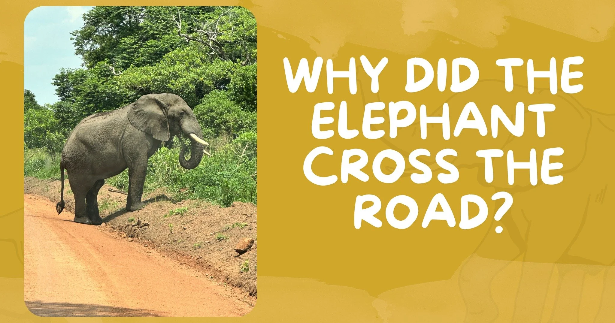 Anything unrelated to elephants is totally irrelephant.

Our guess is as good as yours! Have an idea?