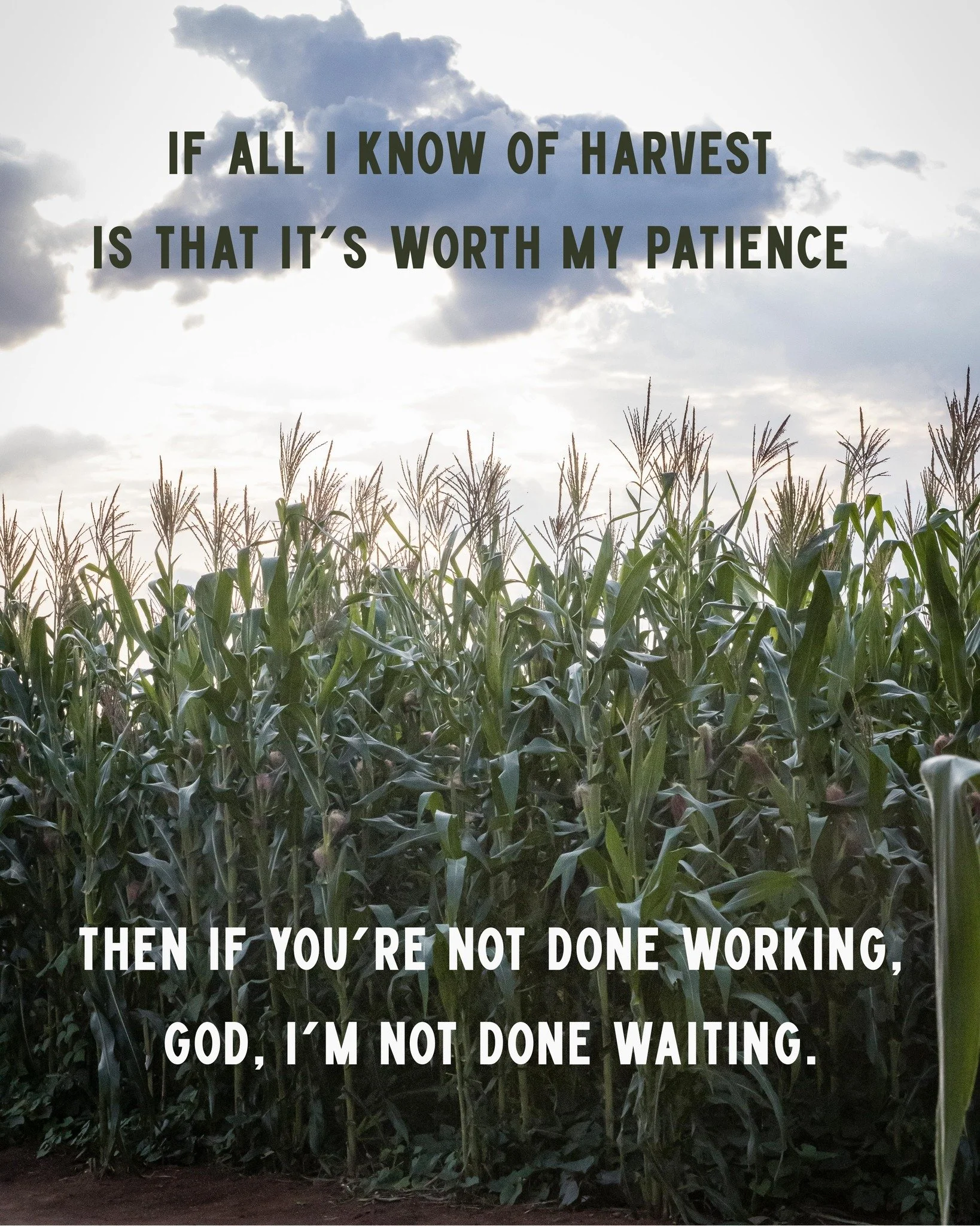 The lyrics in the song "Seasons" by Hillsong are a beautiful reminder of the Lord's timing.
There is a season of growth, and there is a season of harvest. Sometimes, it can feel difficult waiting for harvest to come. But we know the end res