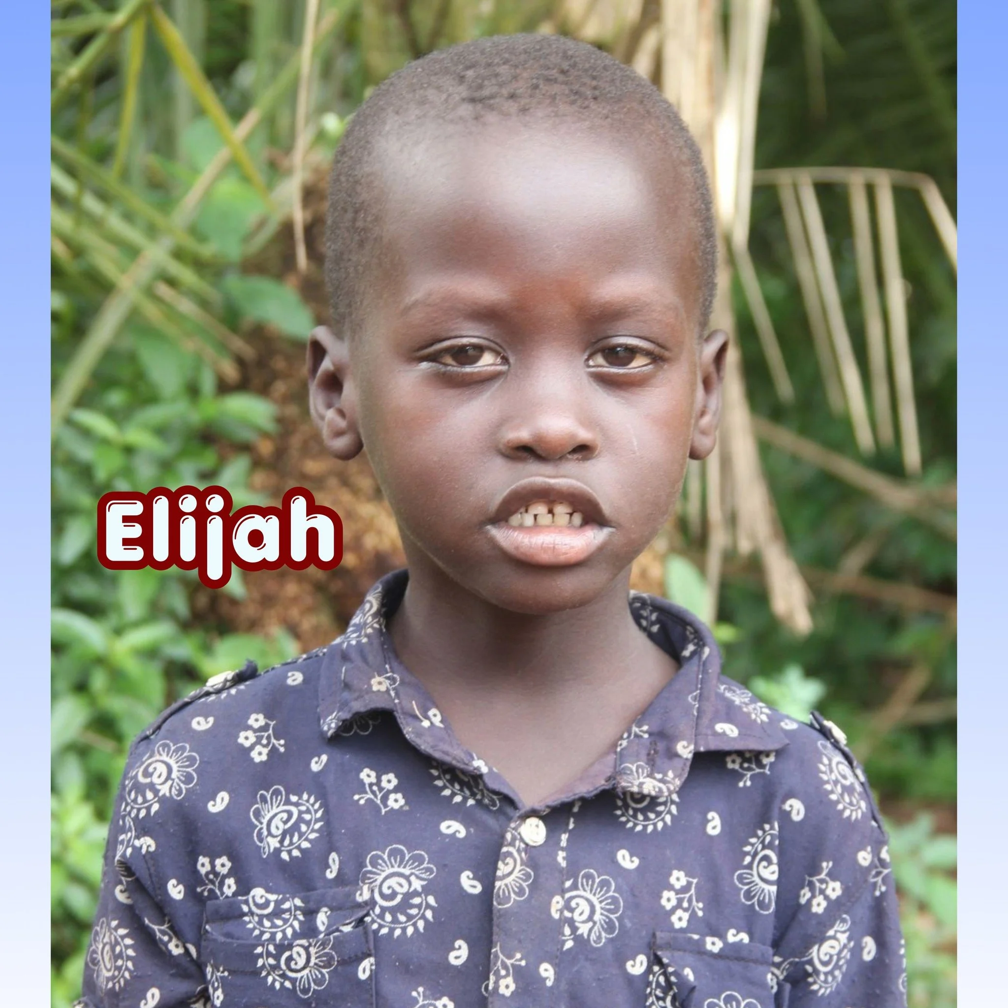 Sweet Elijah came to Village of Hope earlier this year, and just turned 7 years old.
Would you consider sponsoring Elijah on his journey to a bright future?

https://bit.ly/473U1lX