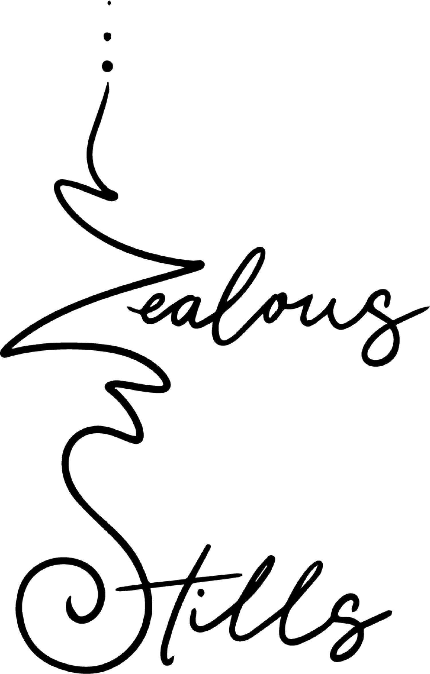 zealous stills photography