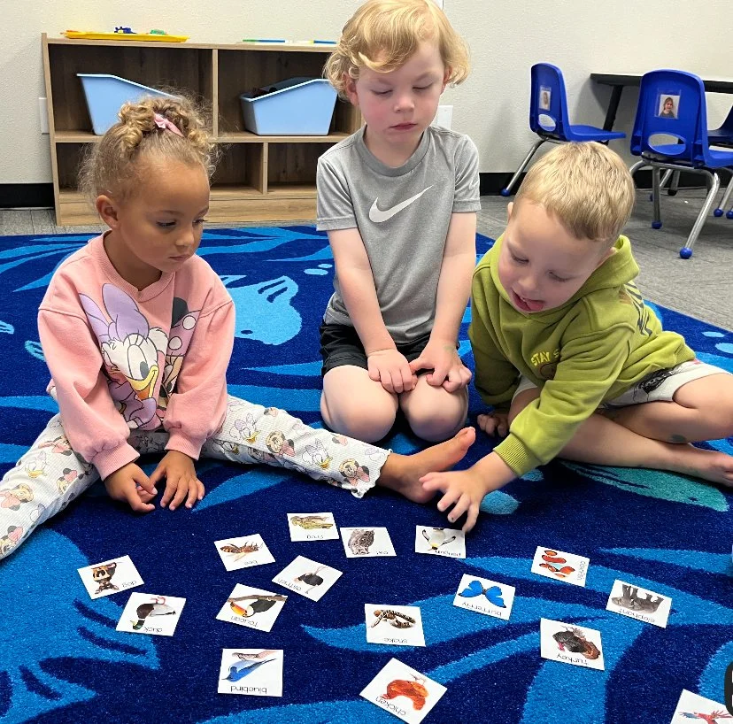 Three children sitting on a blue rug with animal picture cards laid out in front of them. The children are engaged in matching or sorting the cards.