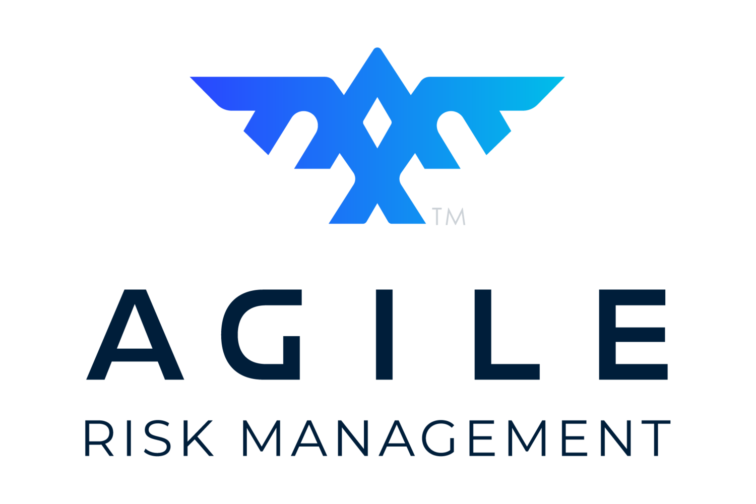 Agile Risk Management