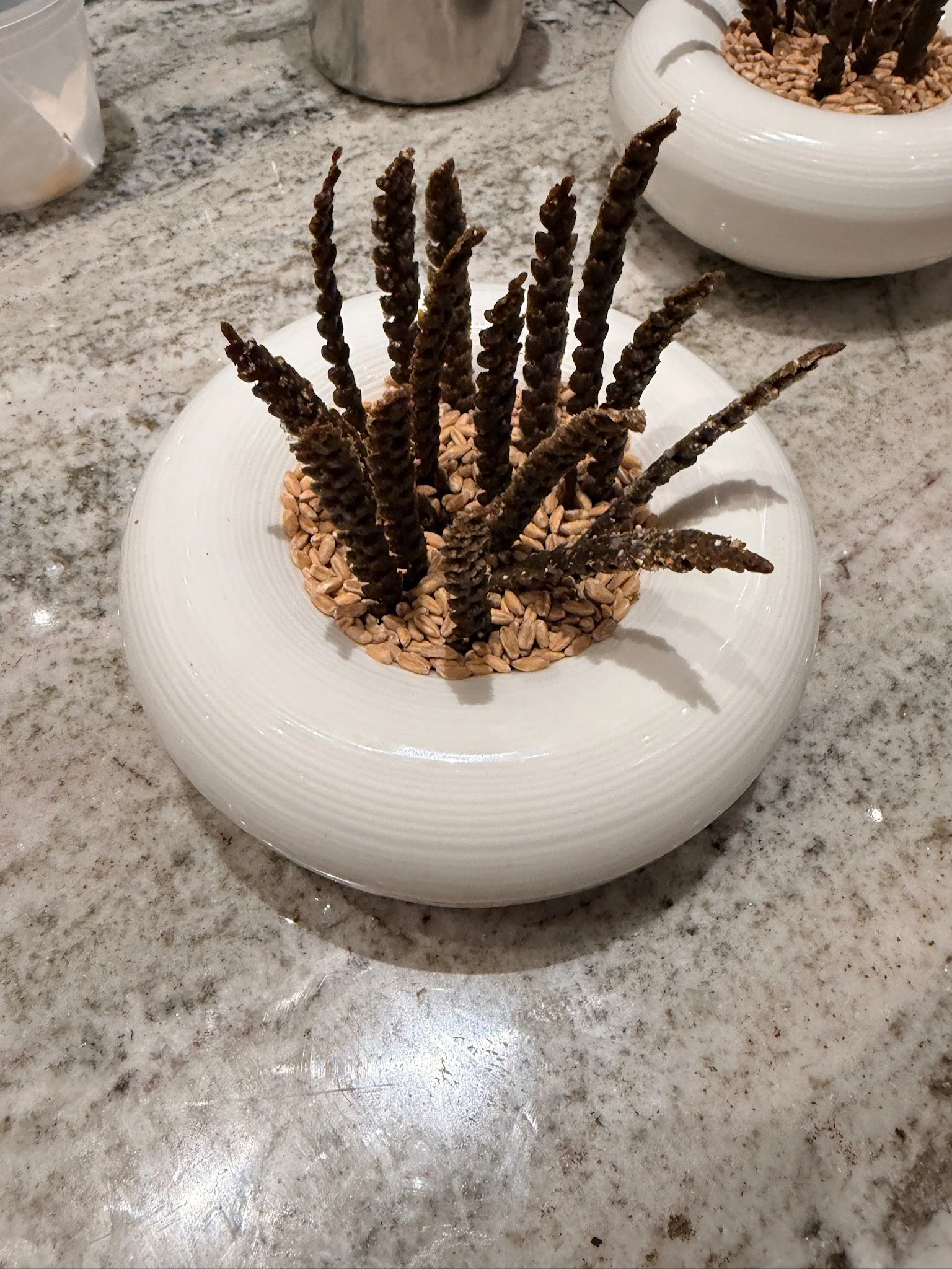 house-made crackers in the shape of wheat in a bulbous bowl with grains 