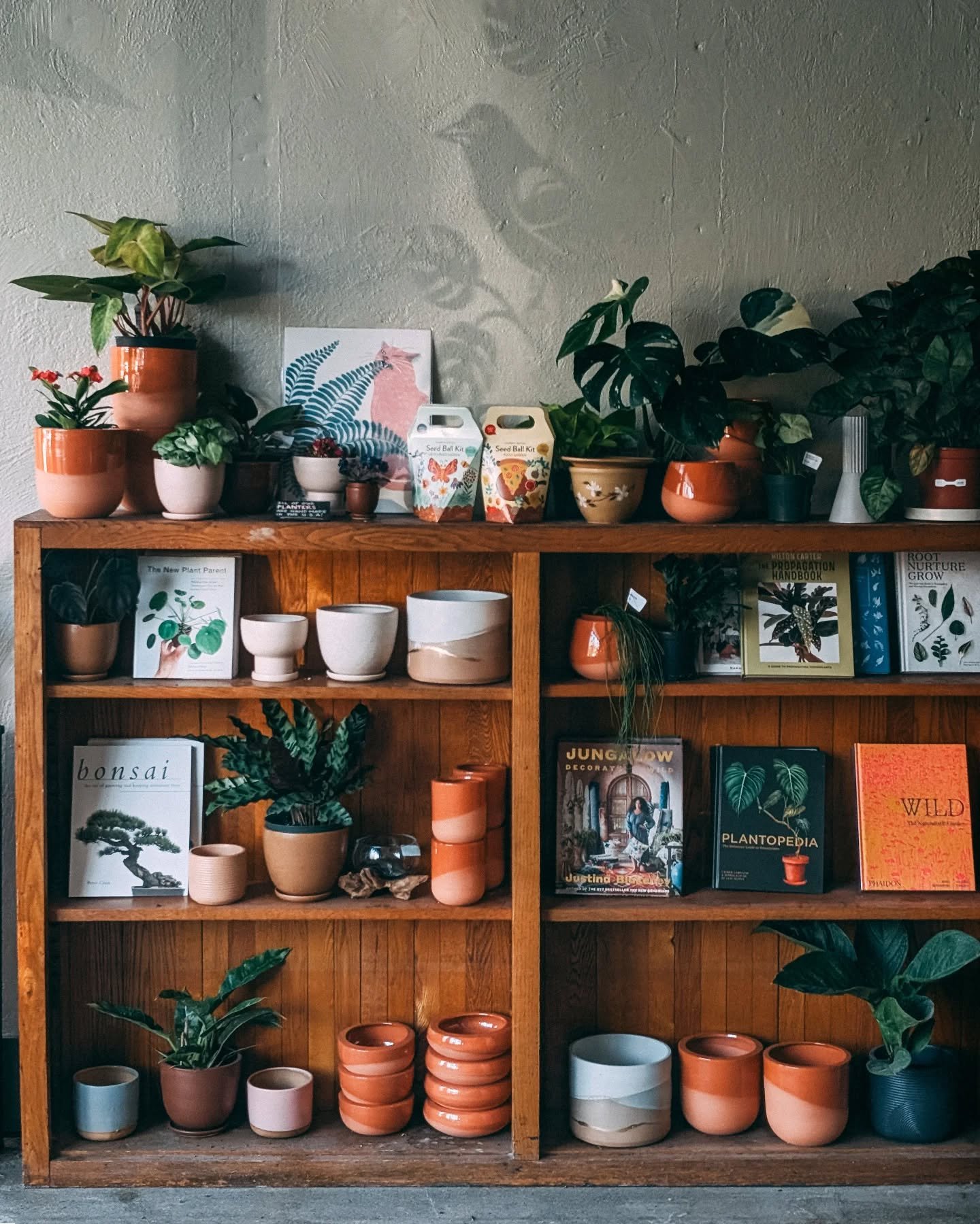 Happy May 🌞💛 We're enjoying the sunshine today and have restocked the shop with fresh new plants 🌿🌷 Come by and see what's new!