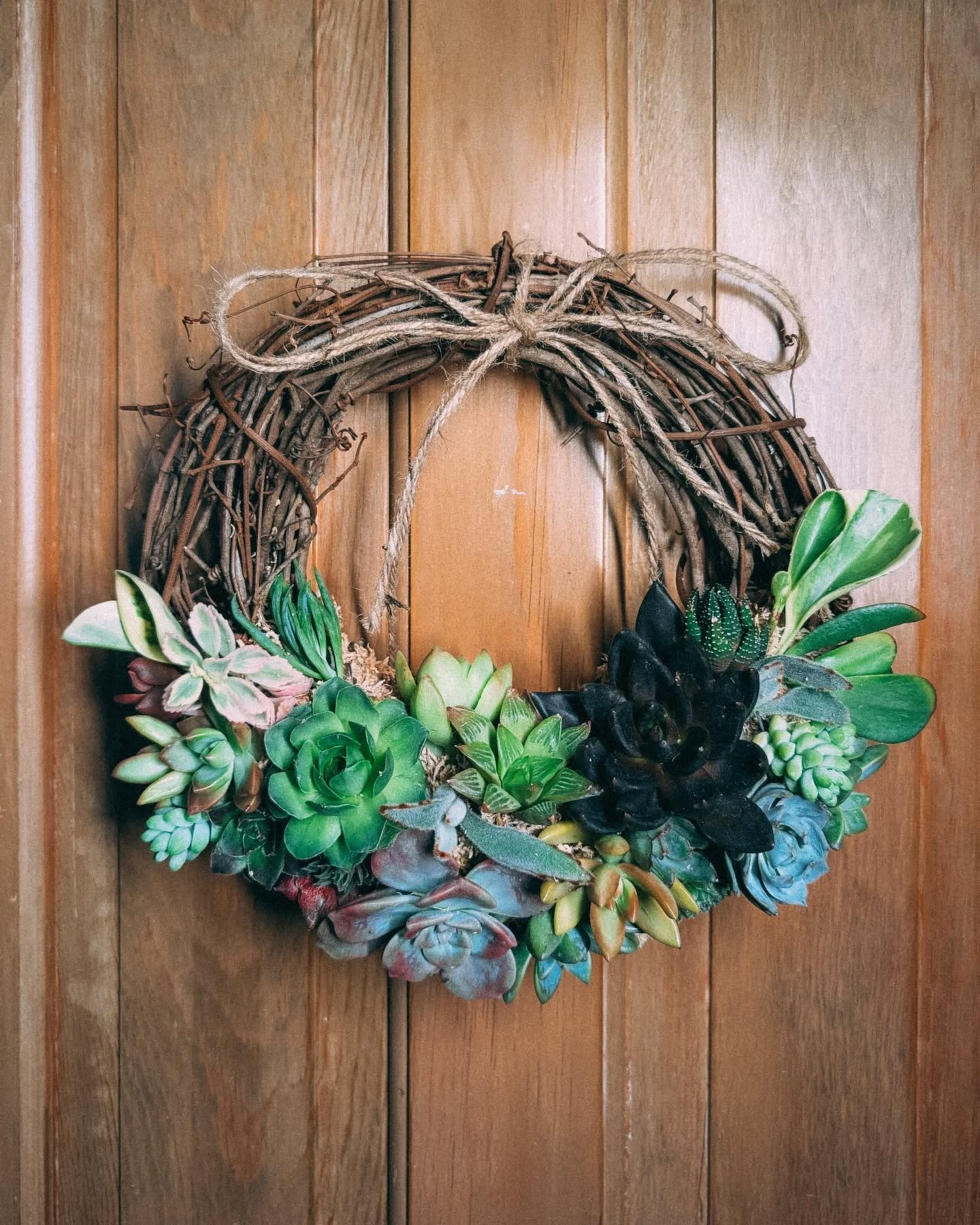 Join us May 29th from 6-8 PM while we craft living succulent wreaths to be enjoyed throughout the summer! 🌞🌿

We&rsquo;ll provide all the supplies and guidance you need, including an 8&quot; grapevine wreath form, sphagnum moss, and 30&ndash;40 suc