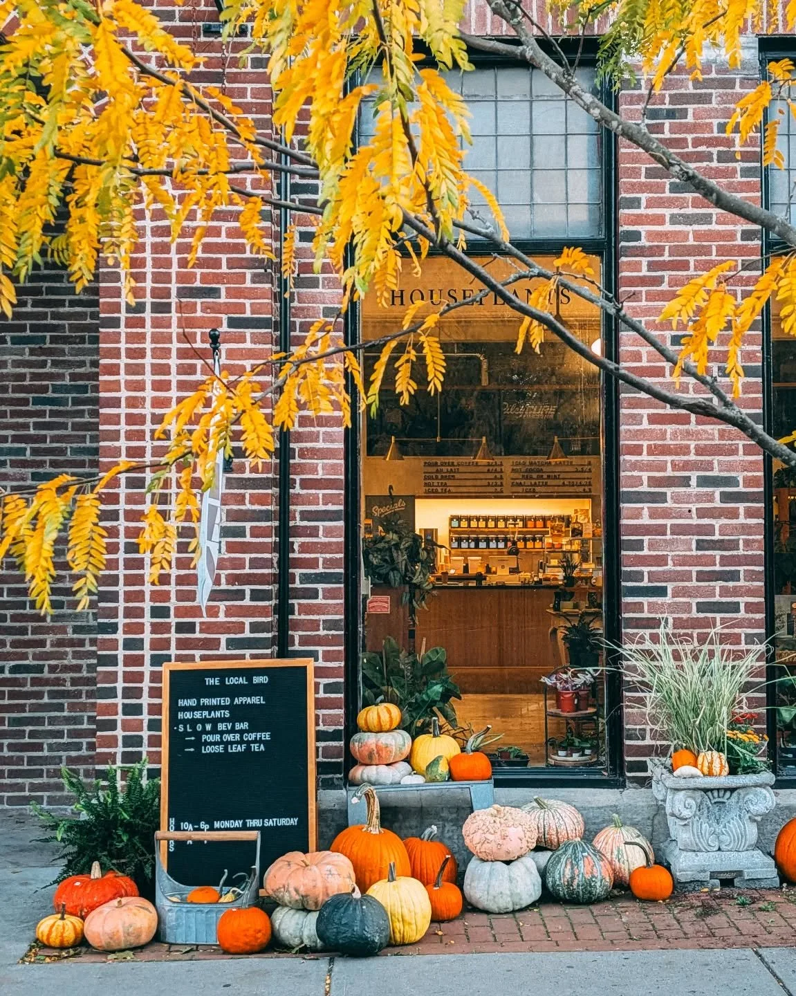 Fall vibes at the shop this weekend 🍂🍄✨