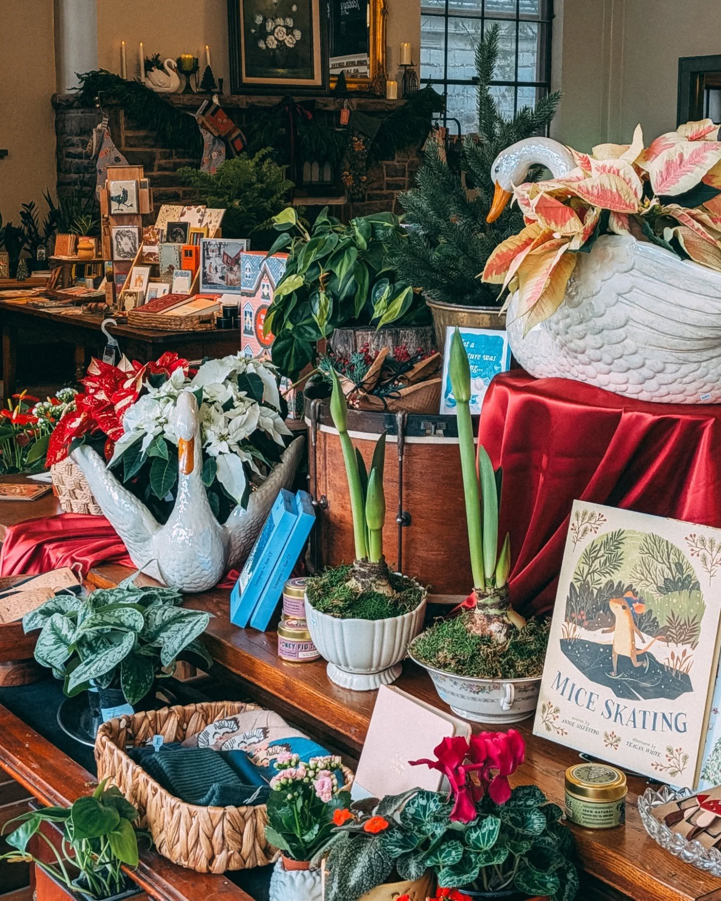 Thank you for shopping small this past weekend! It was such a wonderful way to start the holiday season ❤️🎄

We&rsquo;ll be open until 7 PM tomorrow (12/2) for the @welcomehomecooperstown Gingerbread Stroll with a free tea tasting at the shop! Come 