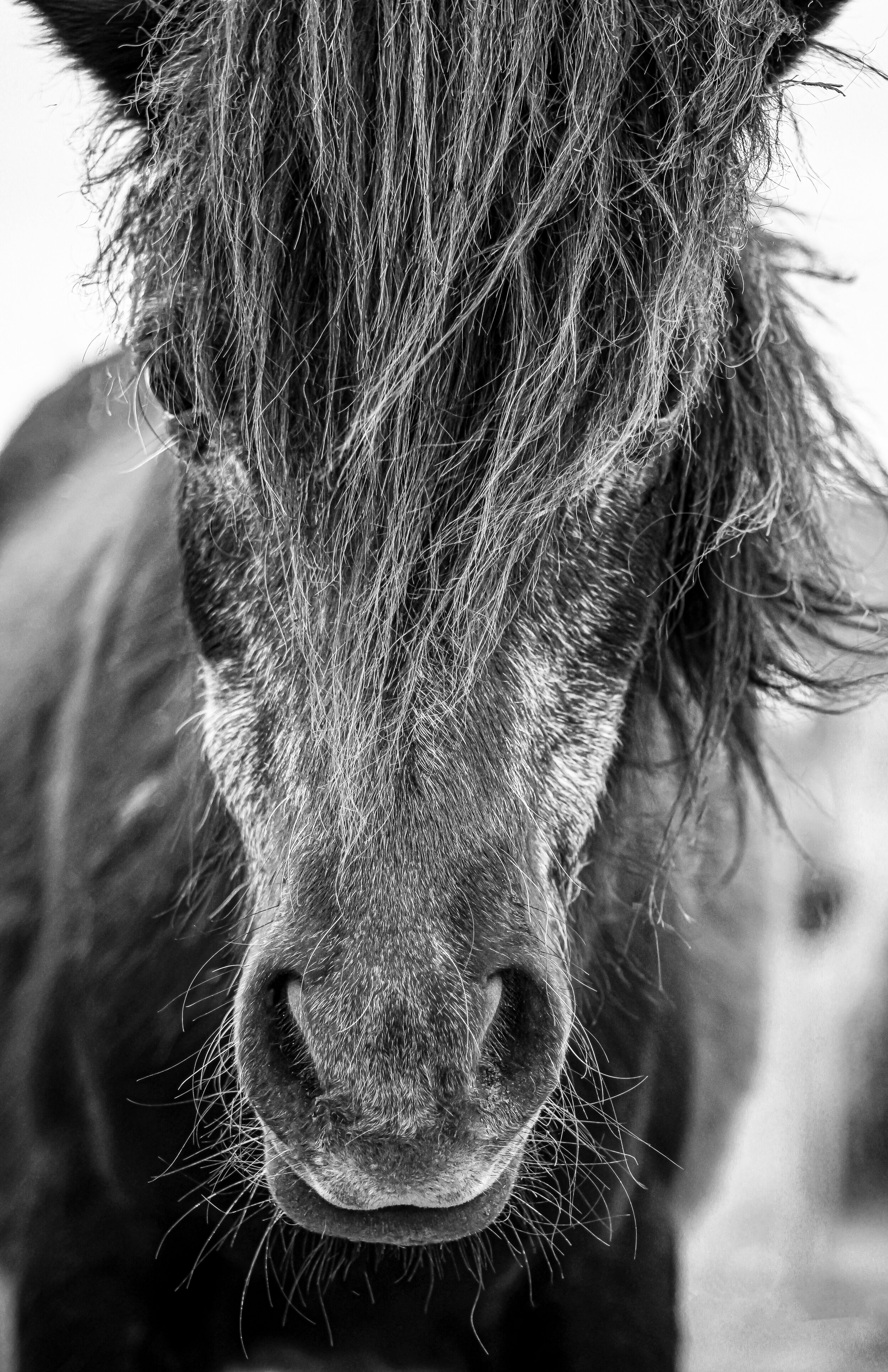IMG_8925-2-picfair.jpg