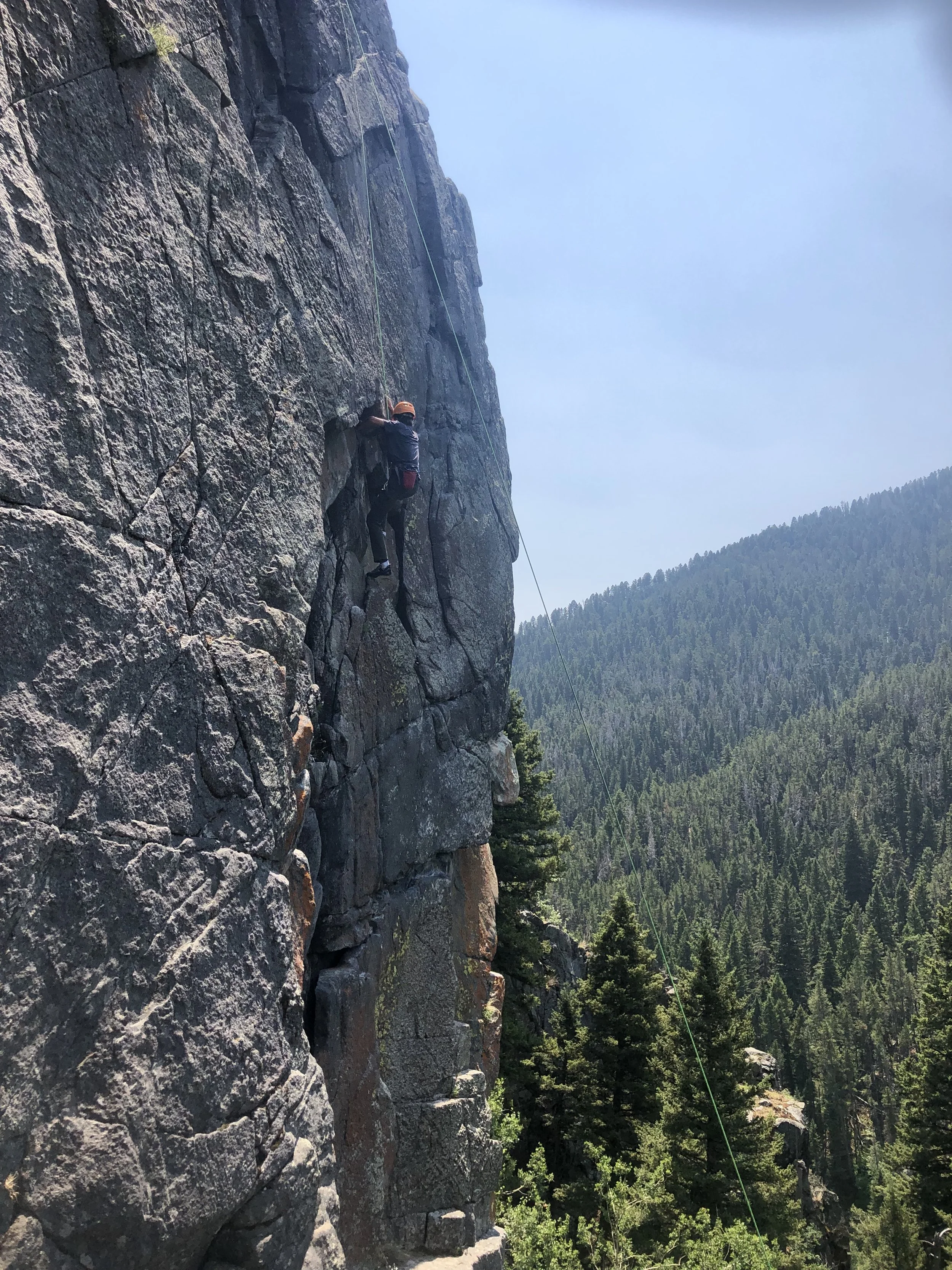A person rock climbing on a steep cliff with lush forest and mountains in the background.