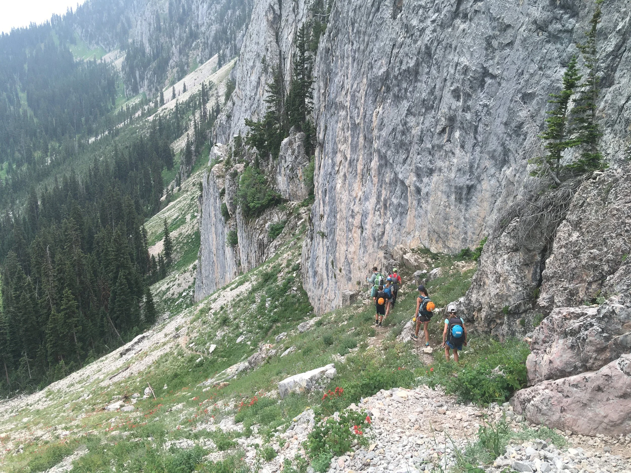 A group of hikers with backpacks walking along a narrow trail on a steep mountain slope surrounded by tall rocks, trees, and green vegetation.