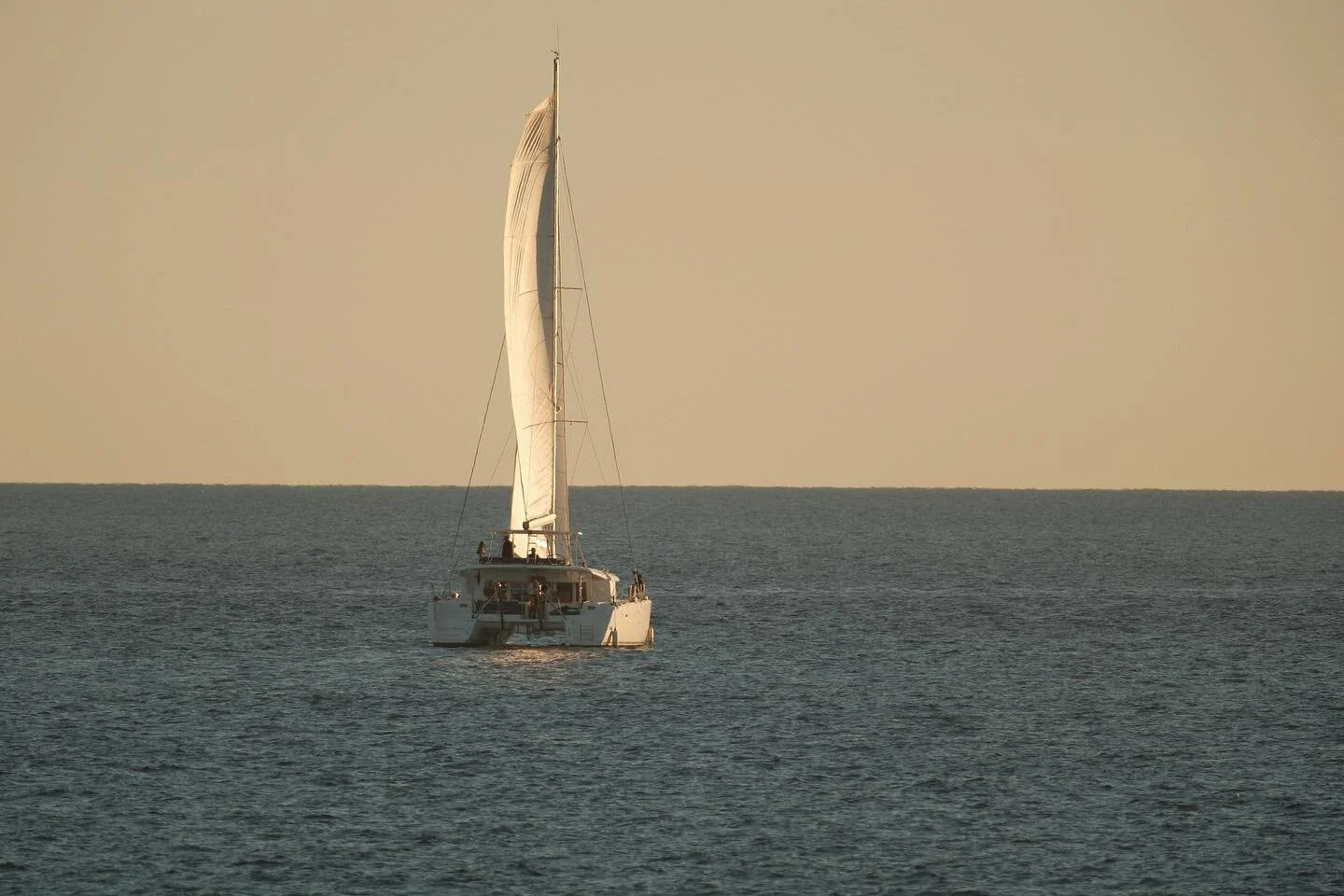 This is straight out of camera really pushed it to the limit on this one. 600mm on a cropped sensor with the light running out at f8. Curious to see what the edit will be.