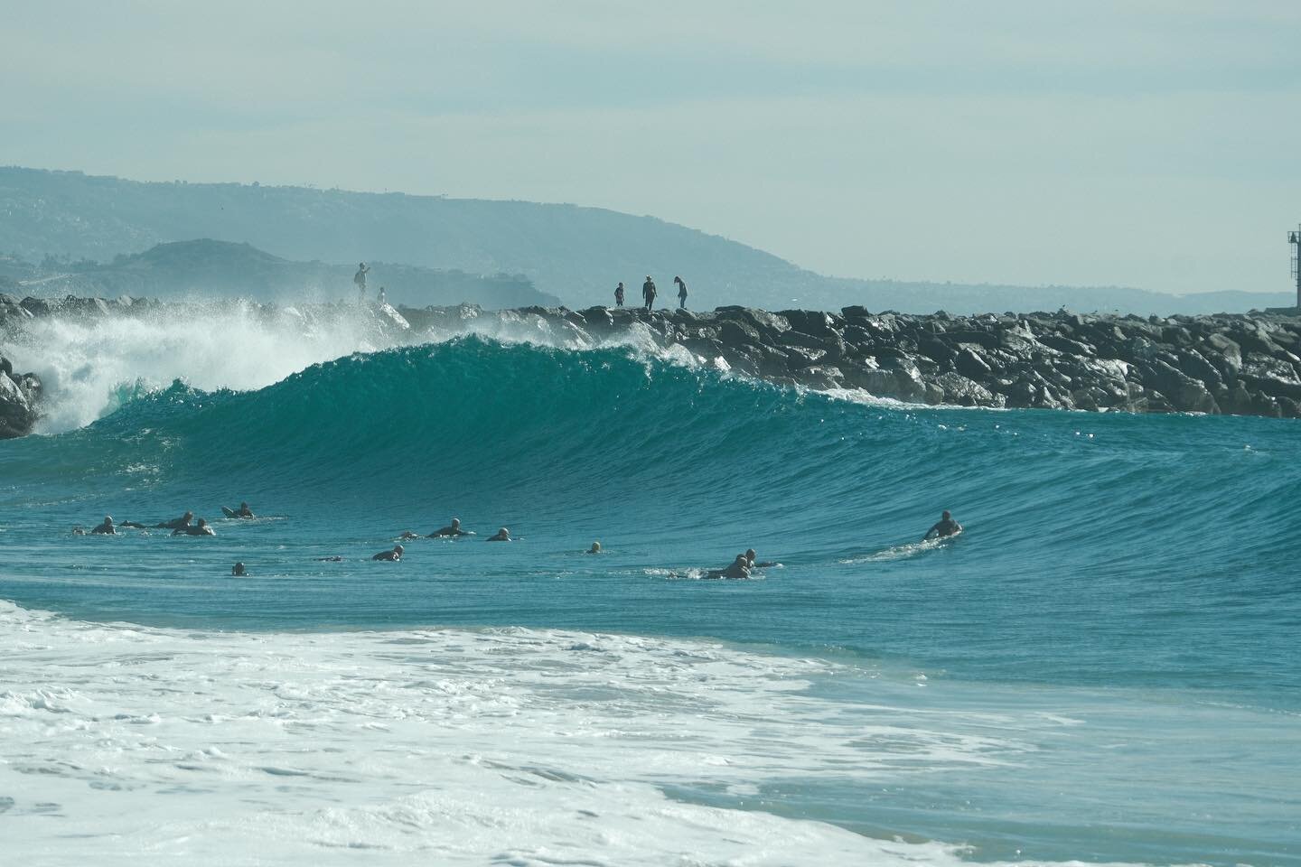 Wedge is a beast. You won&rsquo;t catch me In there with a board.