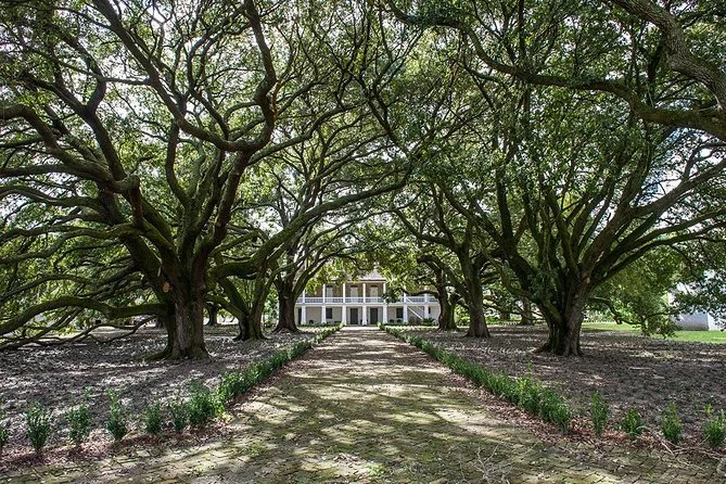 Site Visit: Oak Alley + Whitney Plantation