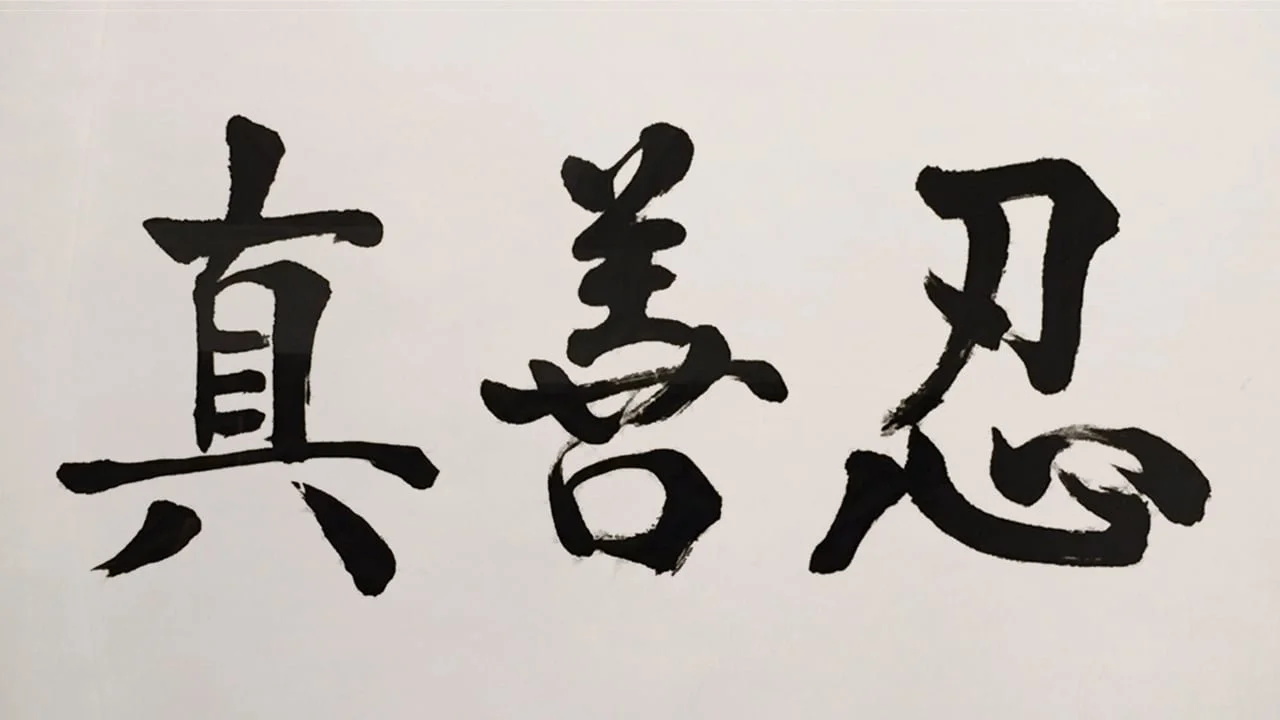 Practicing Truth Compassion Forbearance with Falun Gong