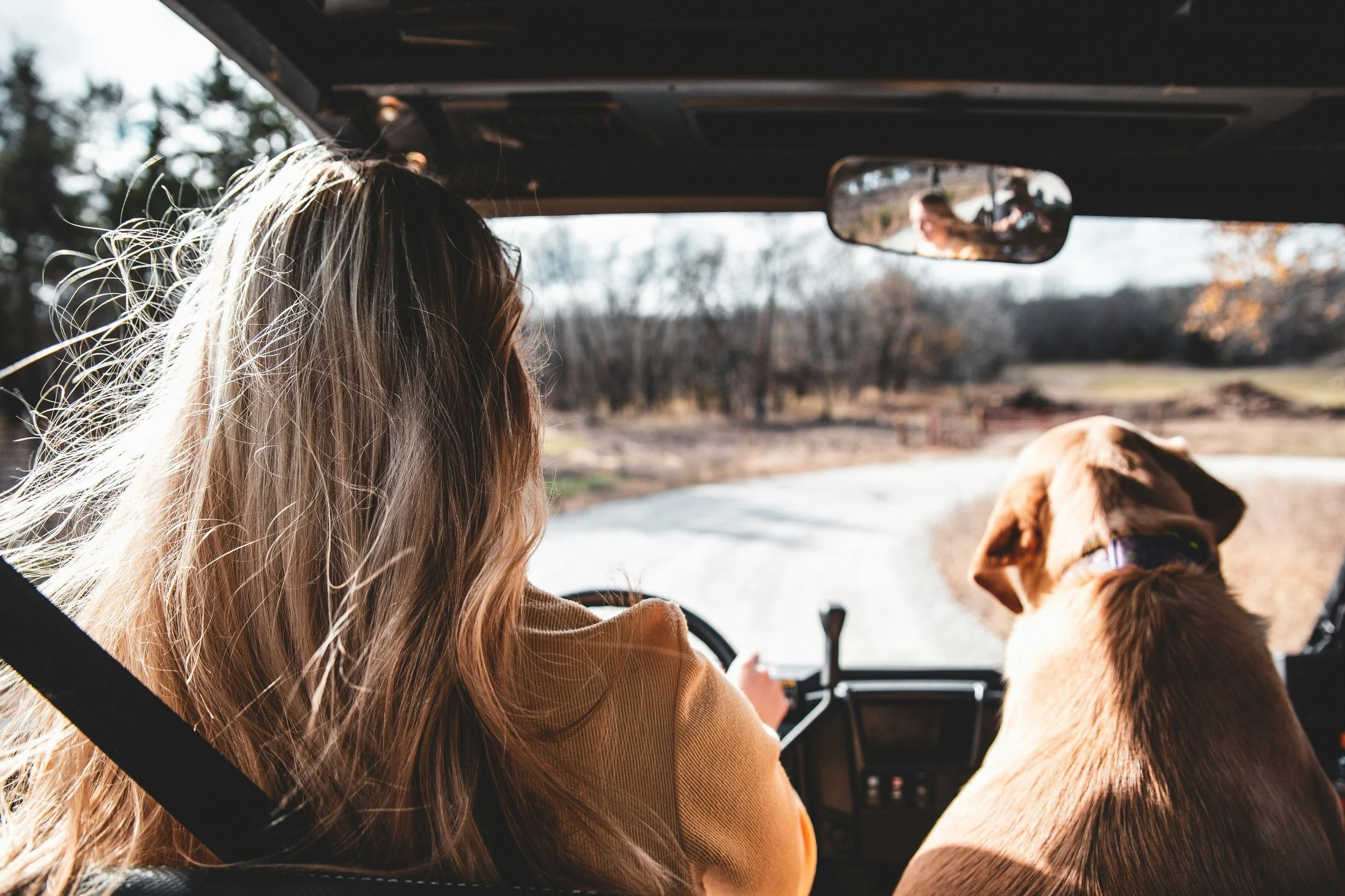 A woman with long, wavy blonde hair driving a vehicle with a brown dog beside her, looking ahead on a scenic road during daytime.