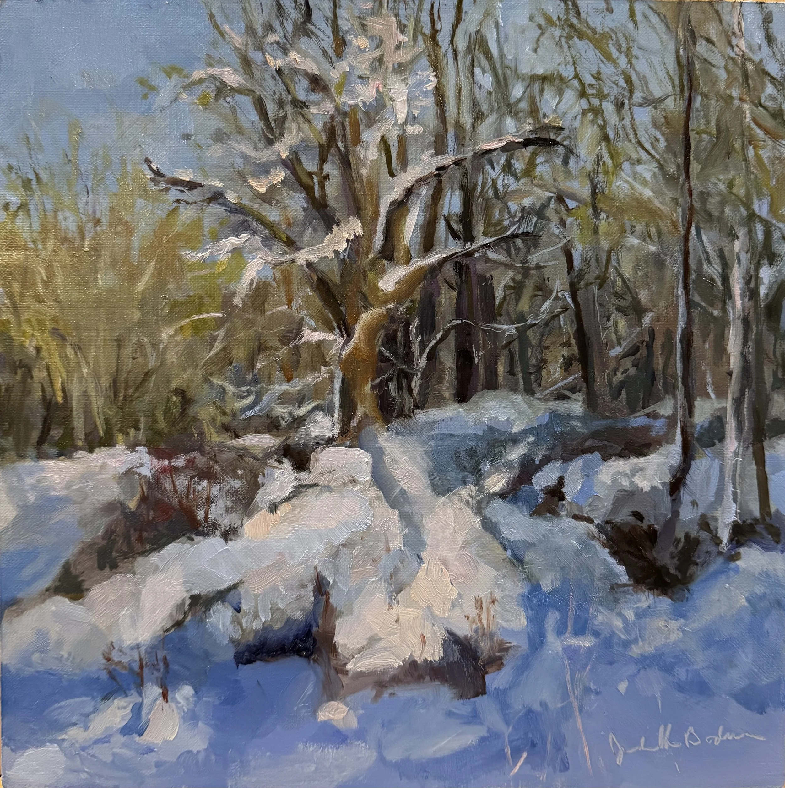 Snow covered tree. 
12"X12" oil on board