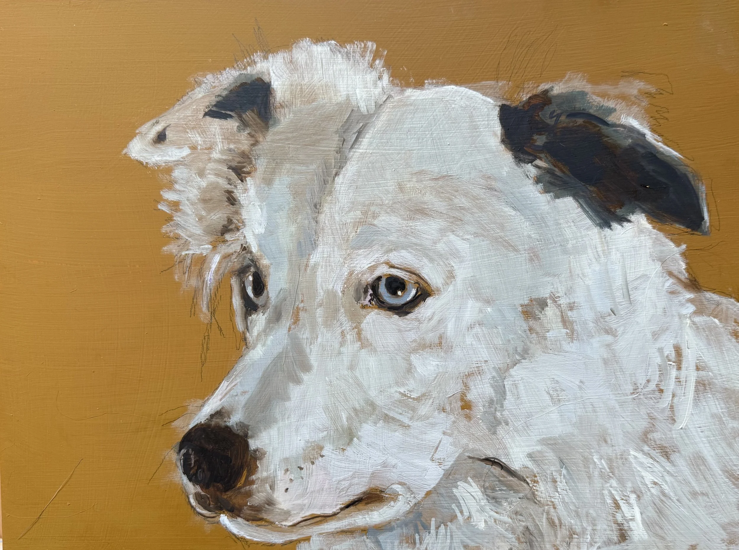 Portrait of Mica
Oil on board, 12"X16"