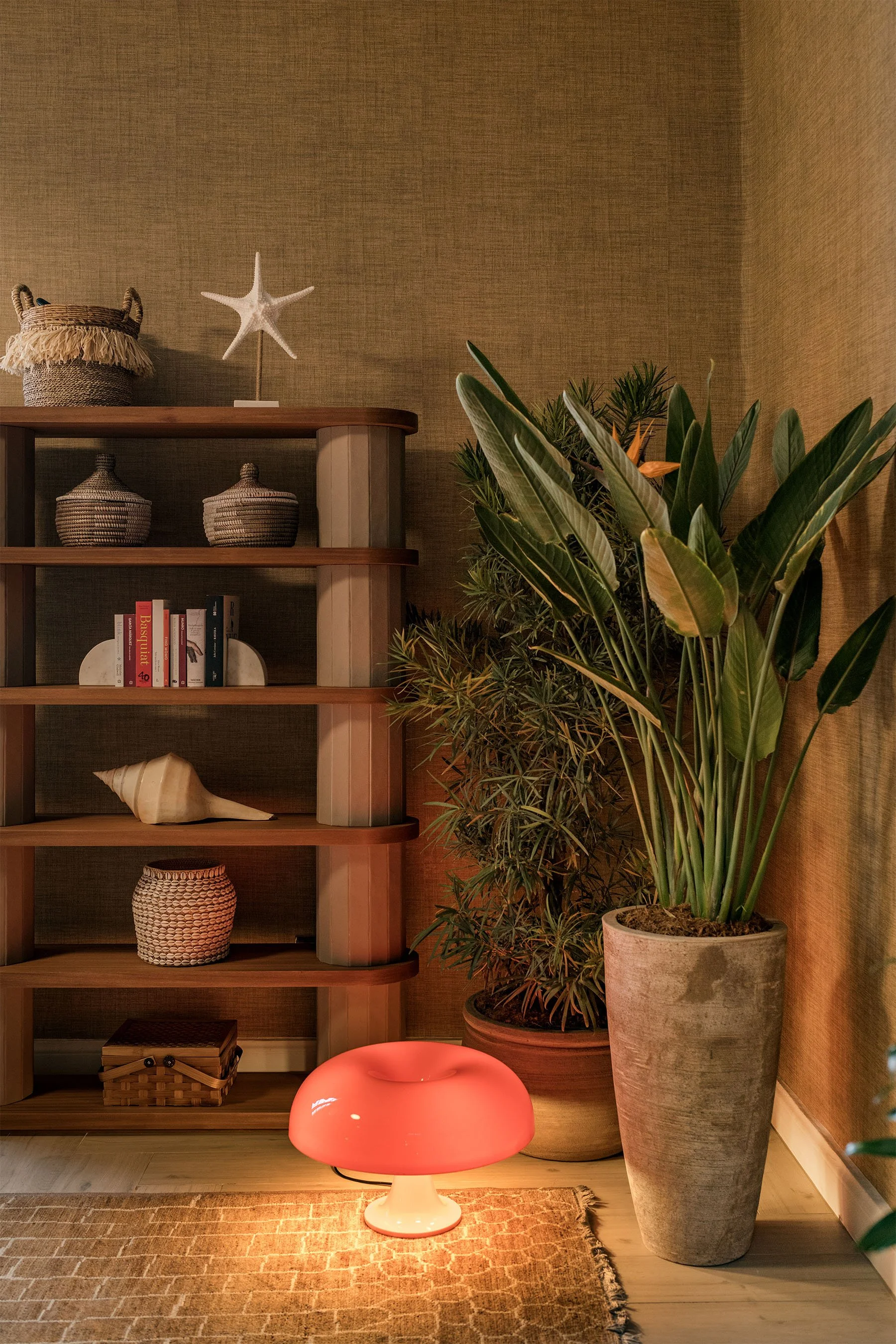 DSC_0345 copy baja.jpg