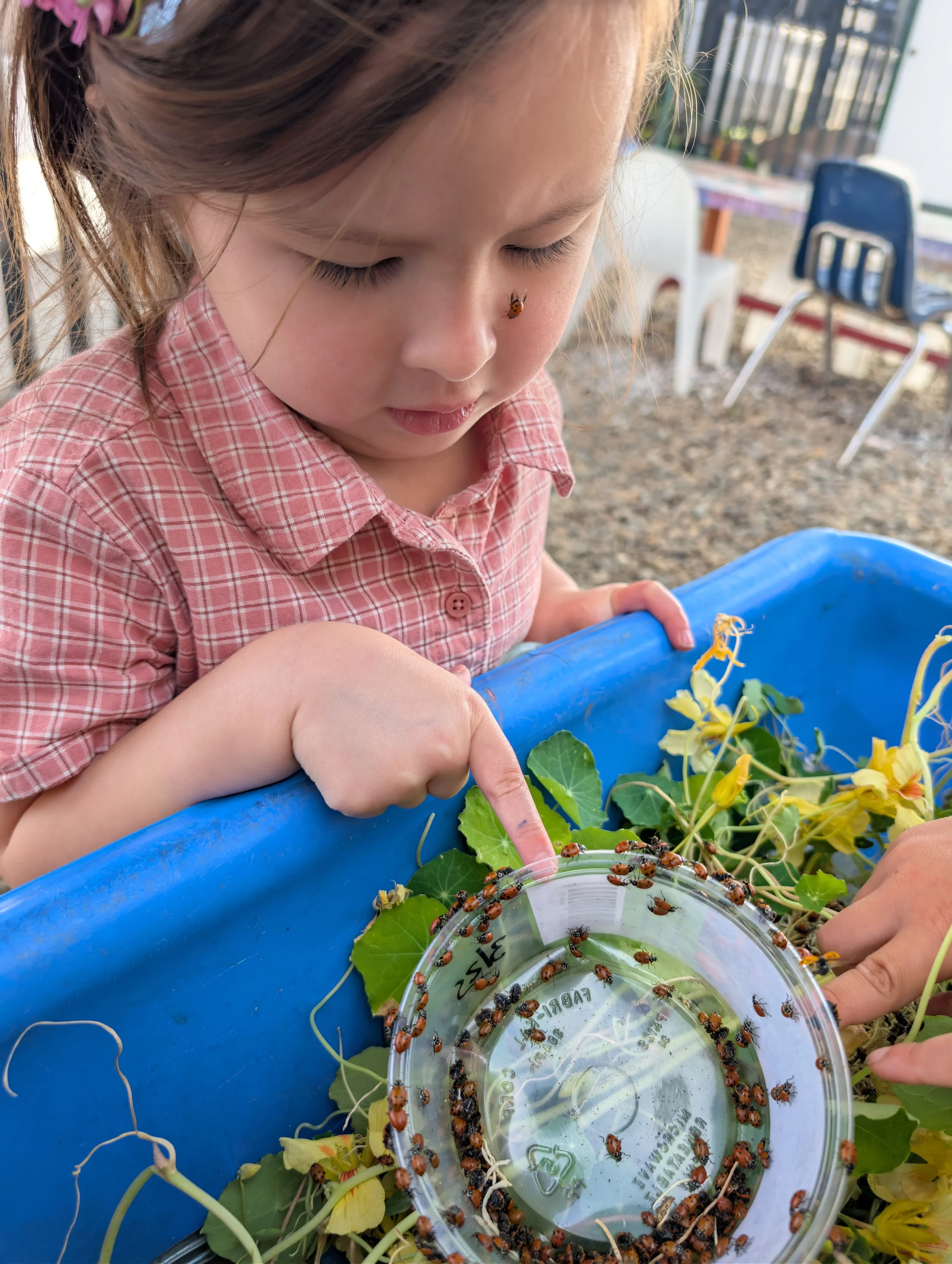Planting the Seeds of Tomorrow: Earth Week in the Classroom!