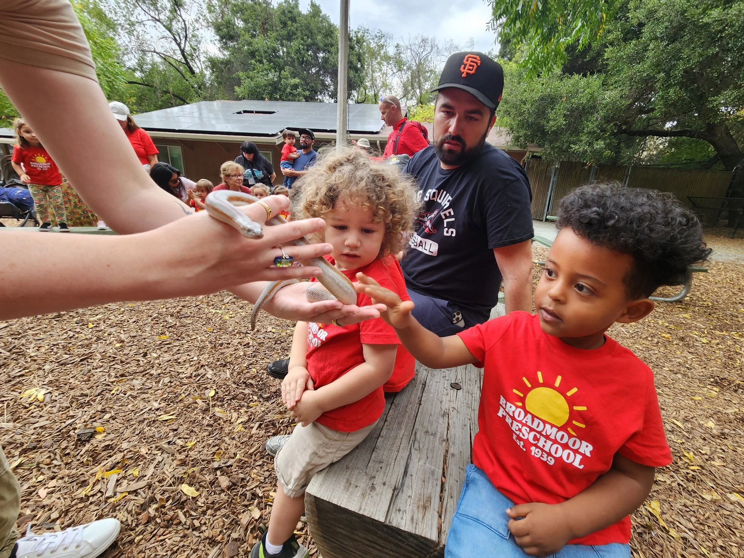 Wild Hearts &amp; Curious Minds: Remembering Sulphur Creek