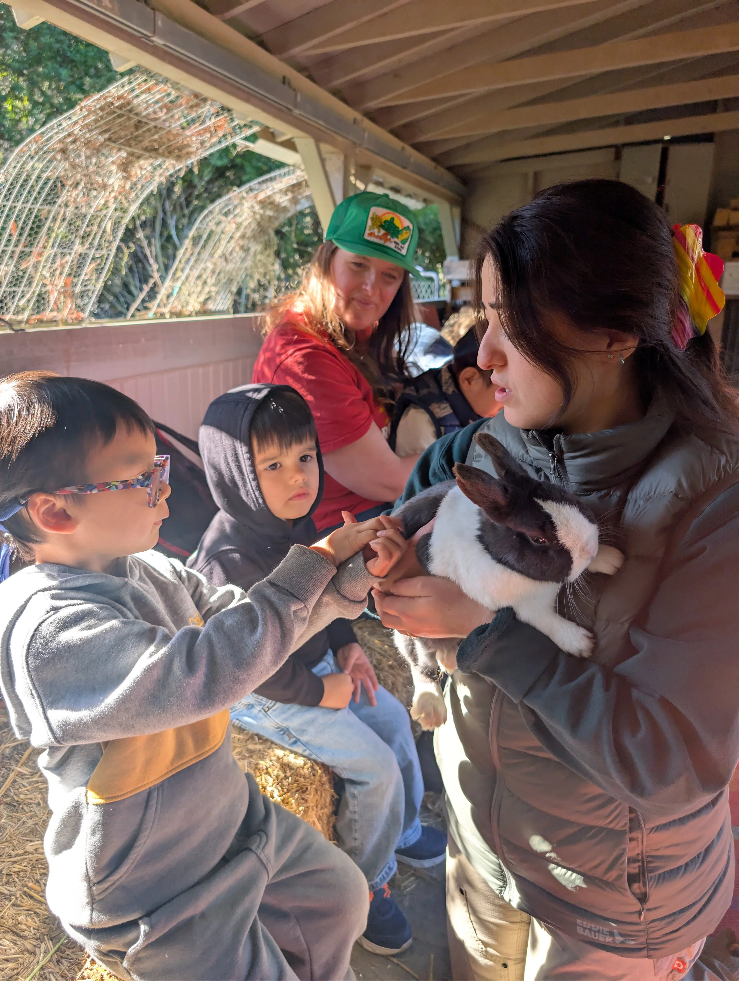 Farm to Heart: Our Visit to Tilden Little Farm &amp; Nature Area
