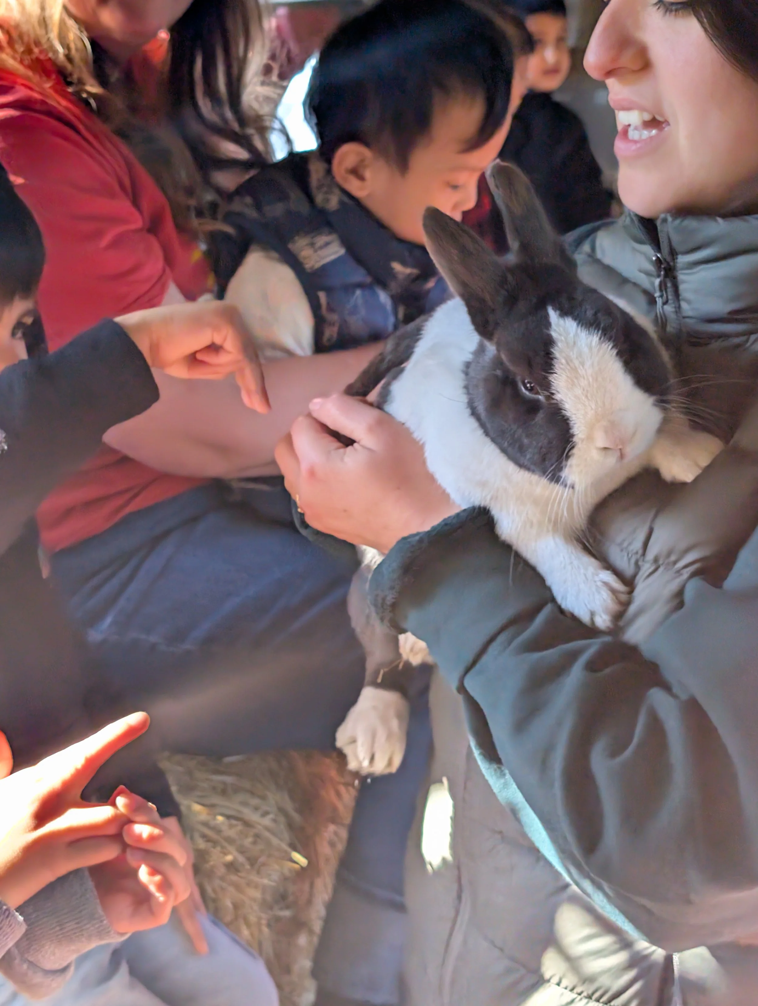 A naturalist holds a black and white rabbit in her arms for children to caress.