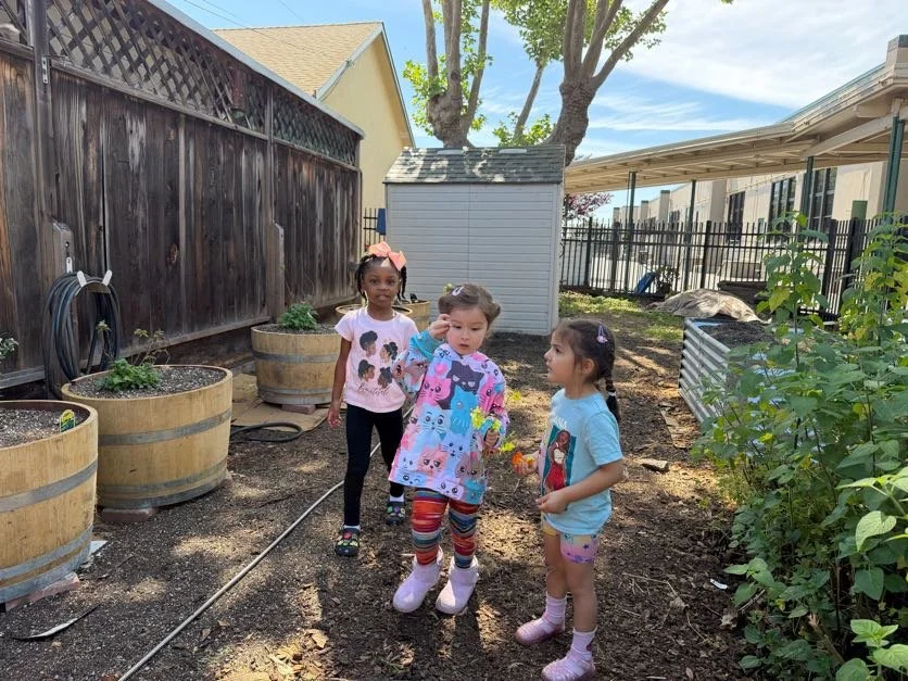 Three children standing in an edible garden, sharing what they found with eachother.