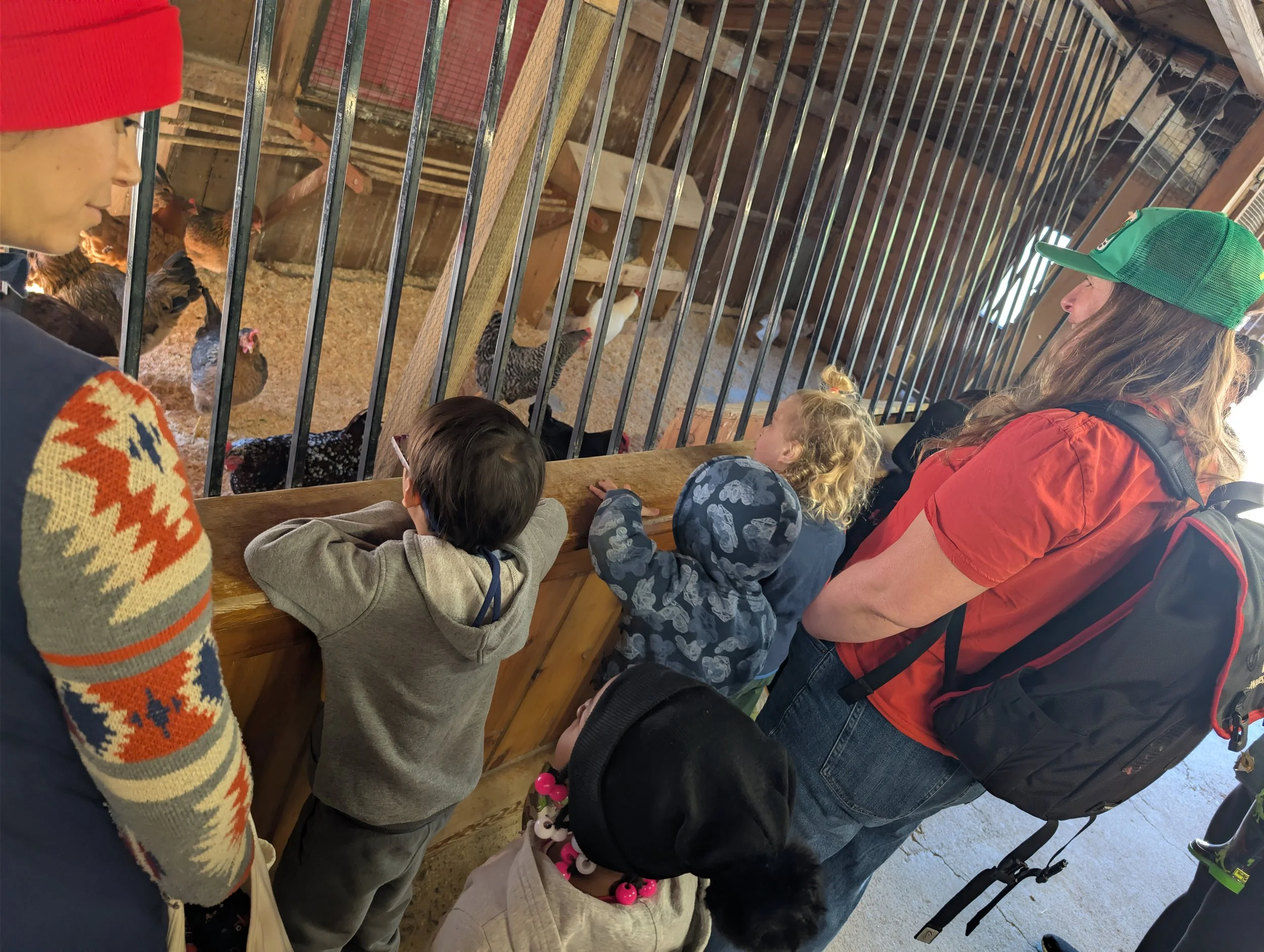 A teacher and a parent observe kids looking at chickens through a fence.