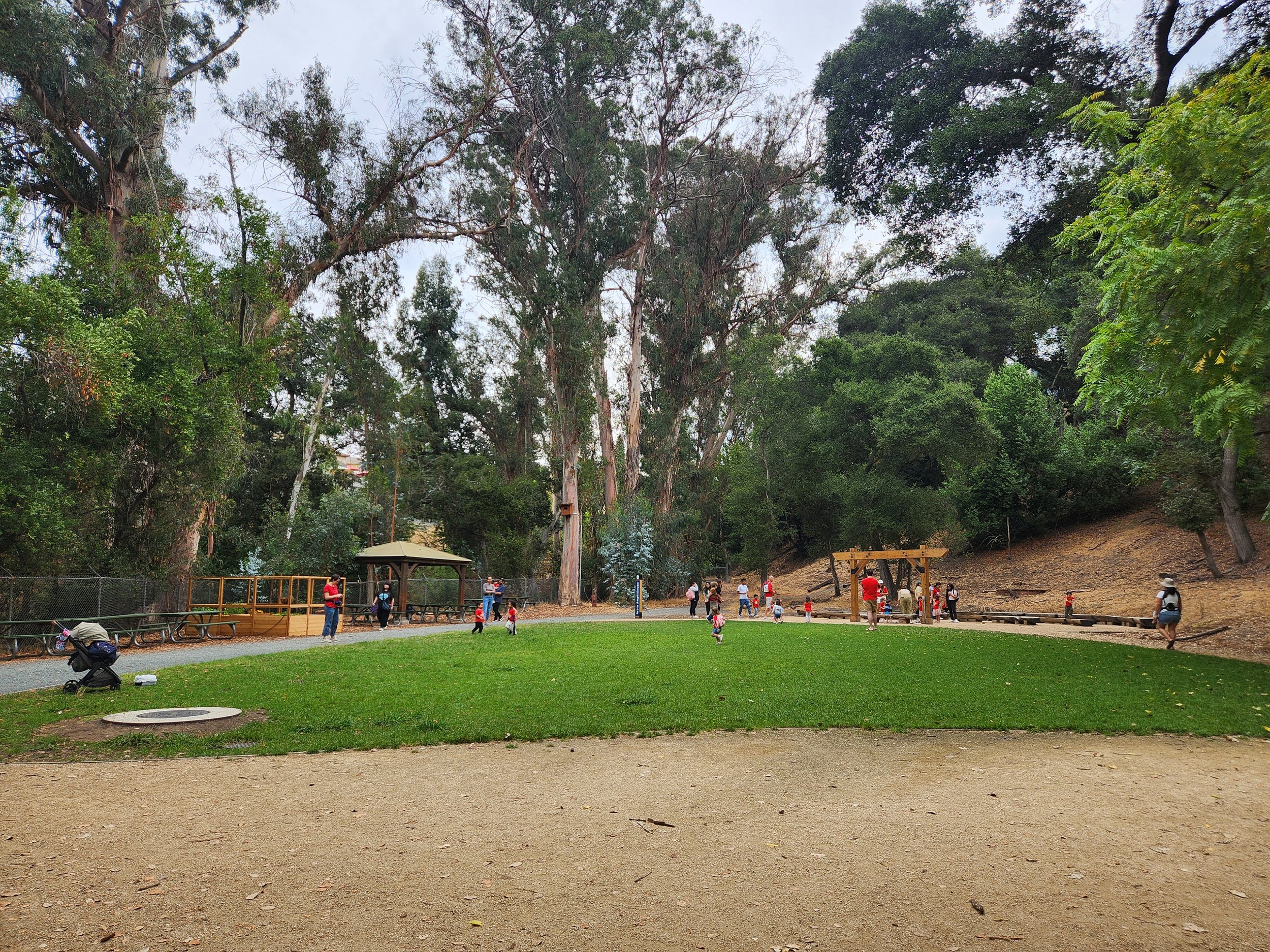 A classroom of children enjoy roaming and running around a green space in a nature preserve.
