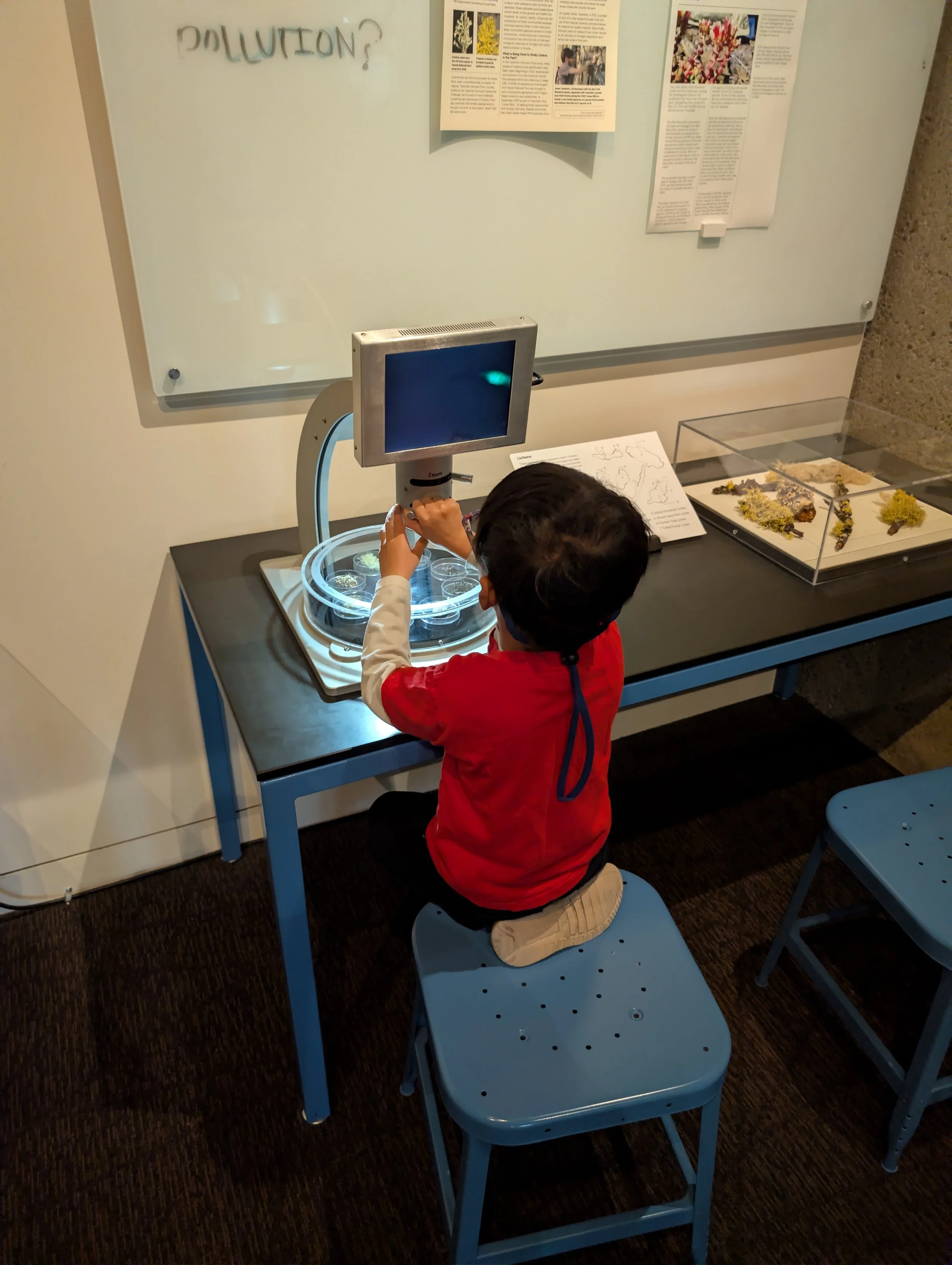 A child sits in front of a high-powered microscope with a large screen, exploring different textures up-close like lichen, insects, snake skin, etc.