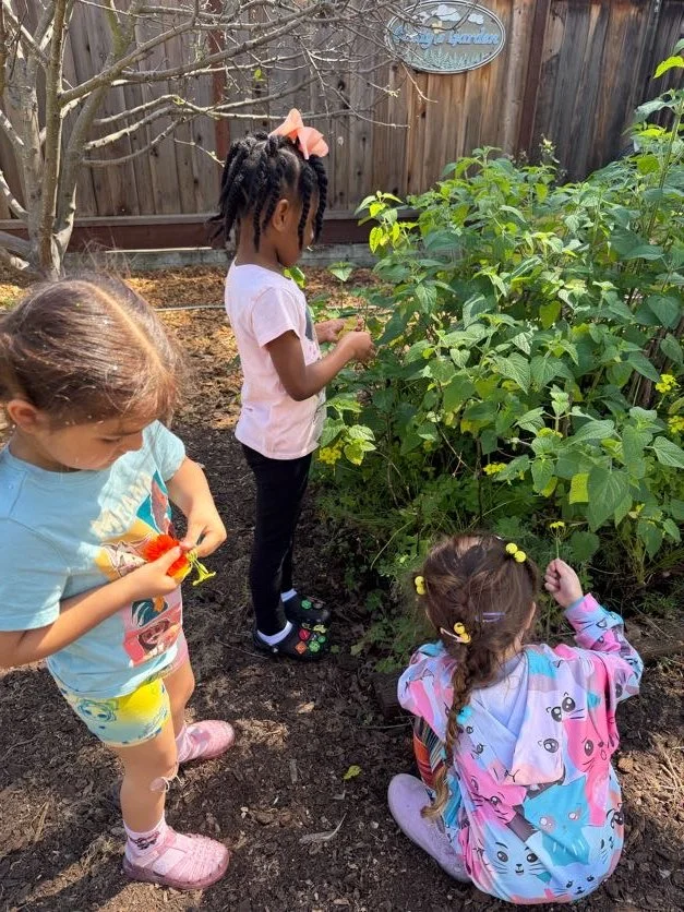Three children exploring an edible garden, collecting flowers, leaves, and insects.