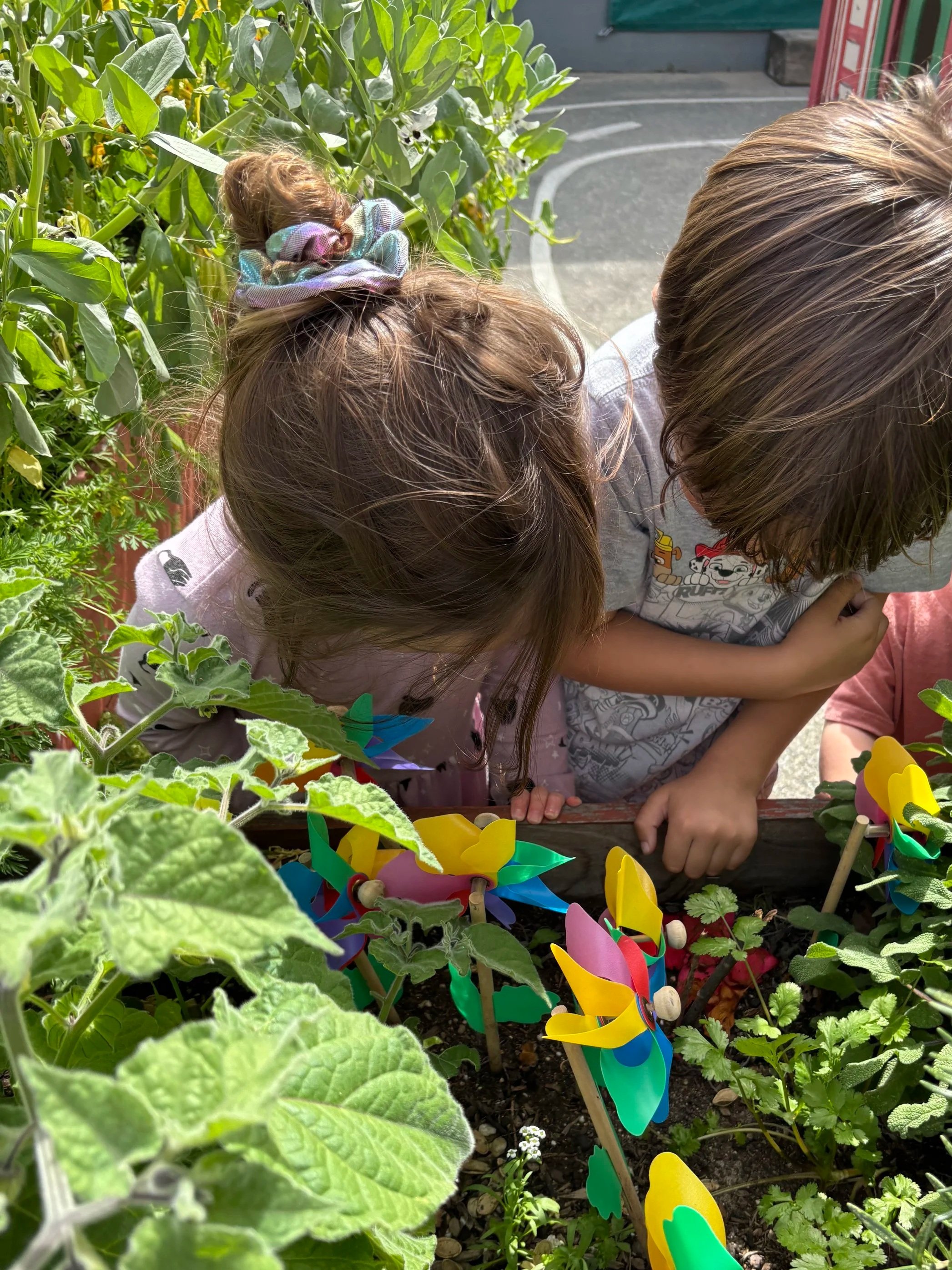 Two children exploring a planter box  full of rosemary, cilantro, and other herbs