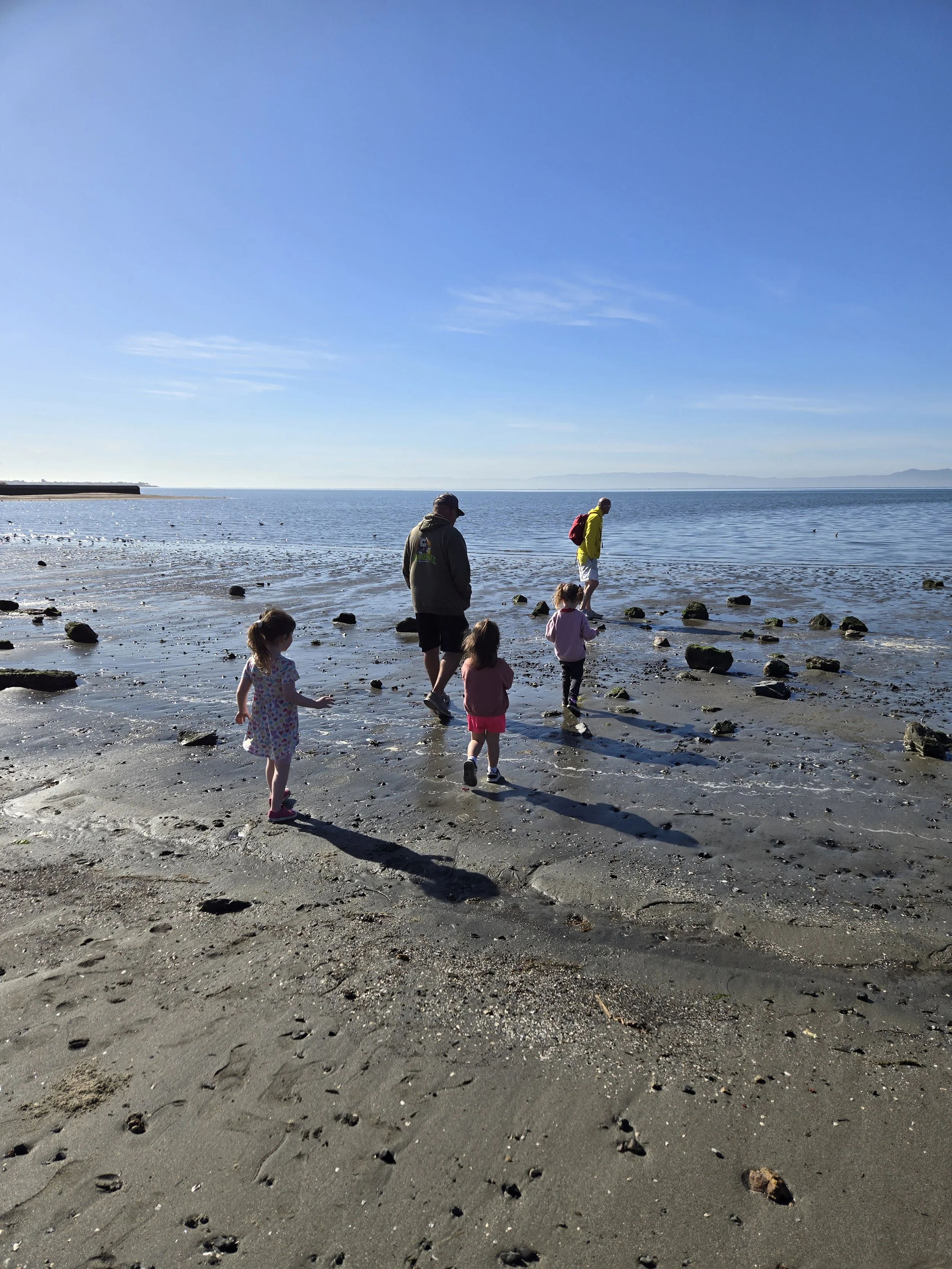 Two parents and three children explore the sandy terrain of Crab Cove in Alameda.