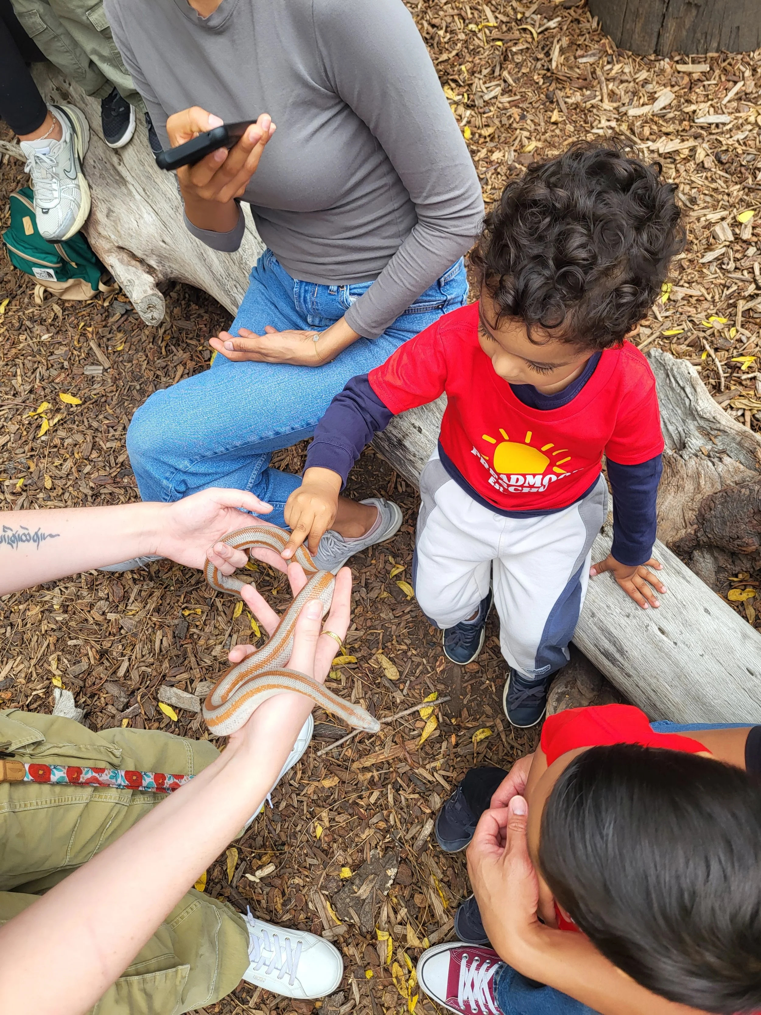 A child touches a snake in an outdoor classroom.