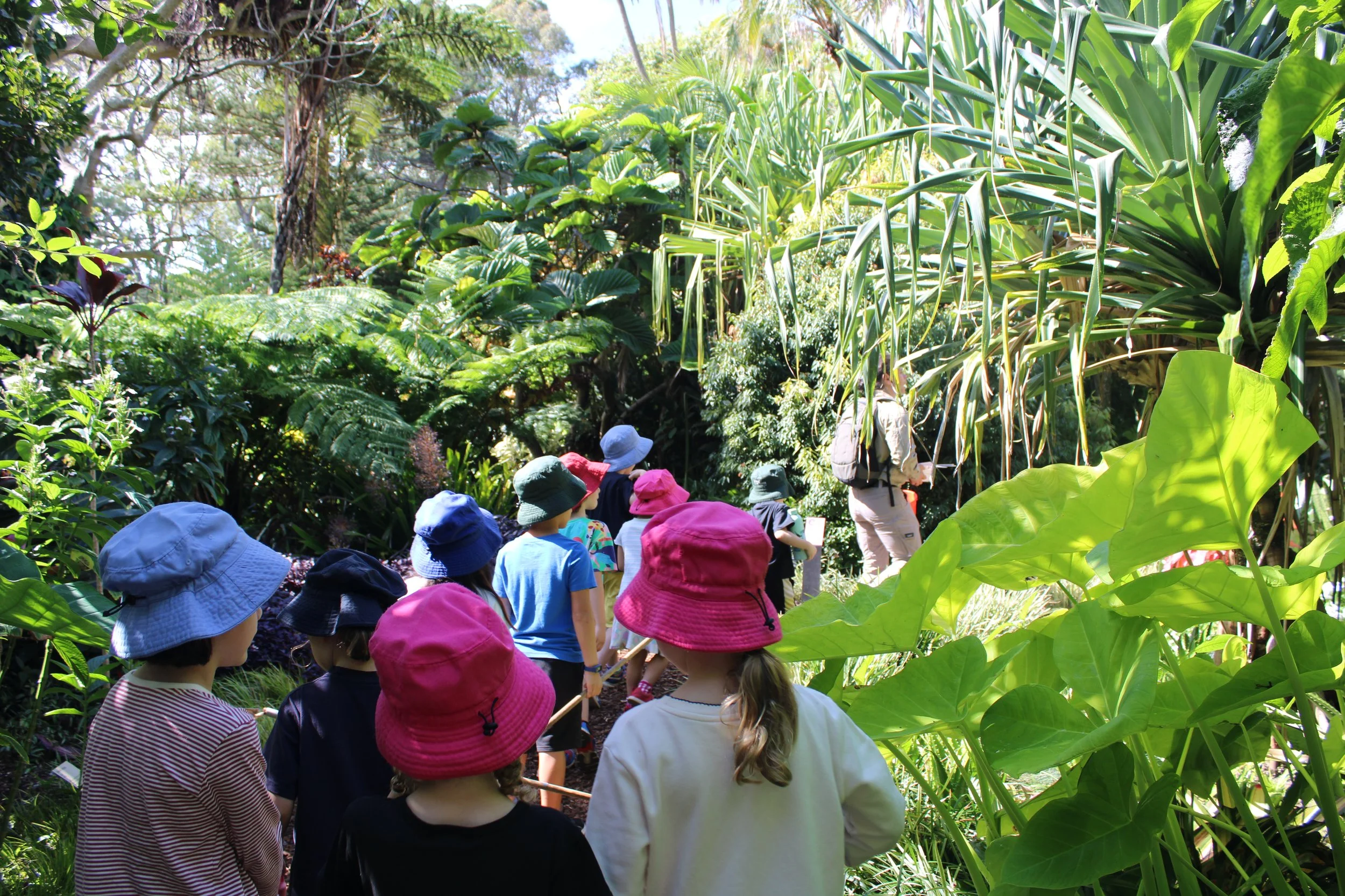 Botanic Gardens_7.JPG