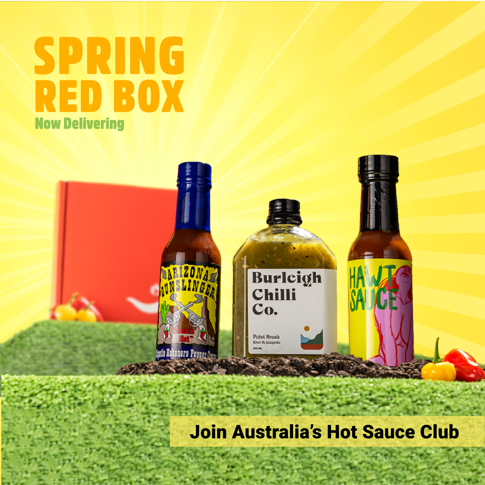 SpringBox_Reveal600x600.png