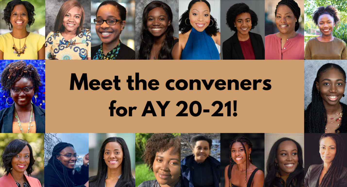 Conveners AY 20-21.PNG